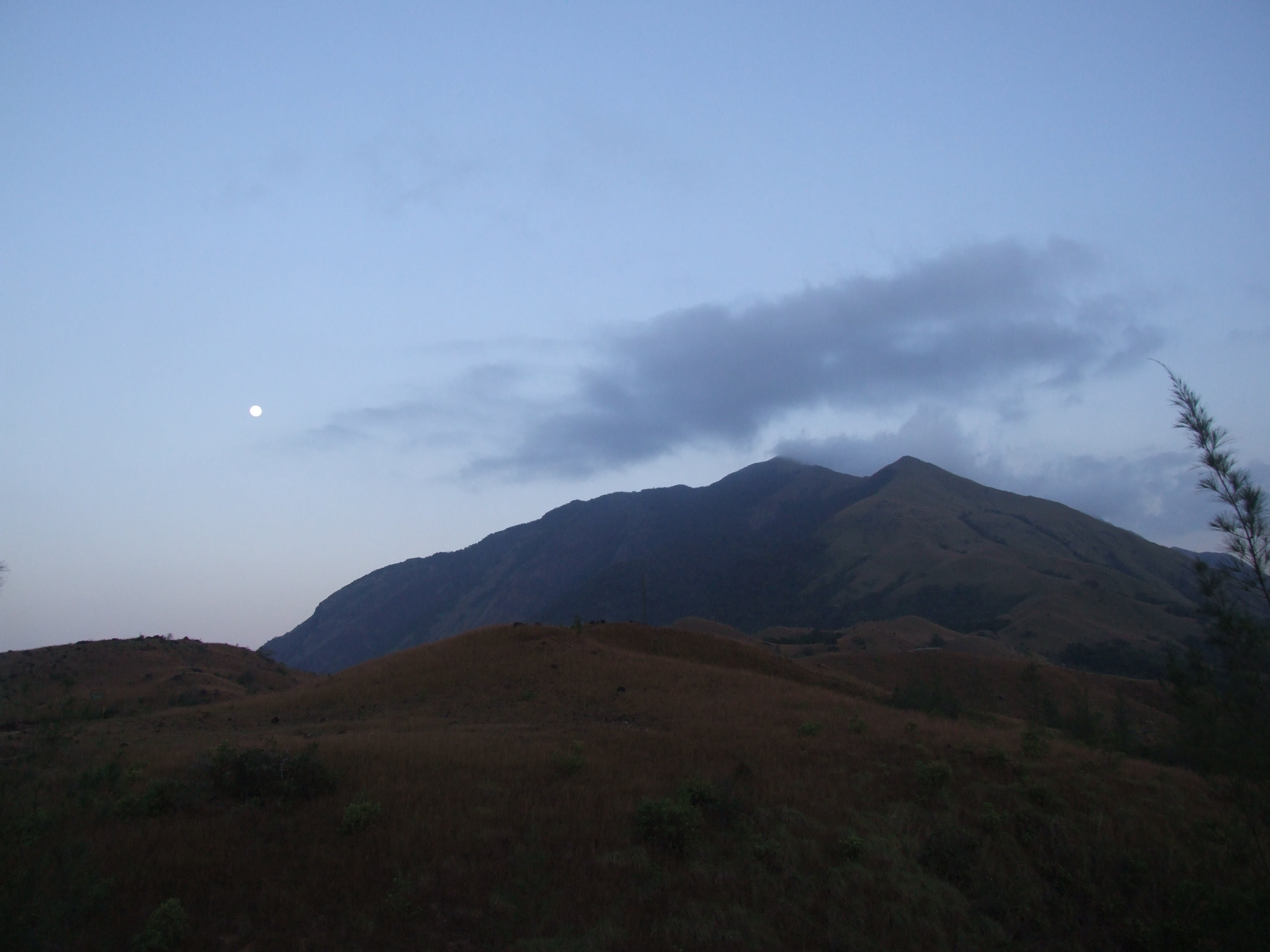 mountain peak, ecology, night, woods, mountain, tree, full moon, summer, nature, tranquil scene, light, forests, countryside, idyllic, green, sky, beauty in nature, HD Wallpaper