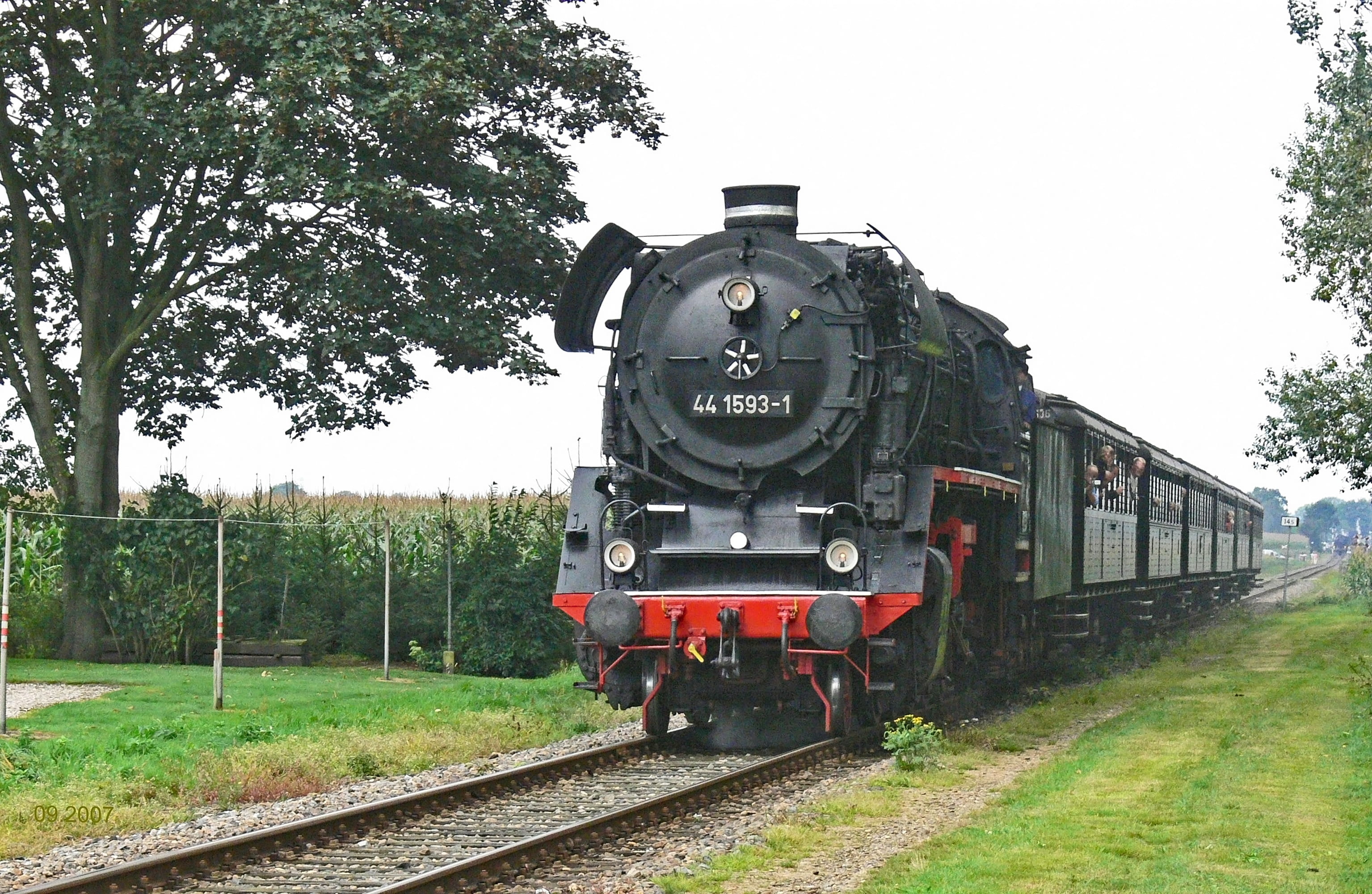 outdoors, 2K, growth, operational, trees, einheitslok, passing, br44, green color, no people, locomotive, plant, tree, steam train, mode of transportation, HD Wallpaper