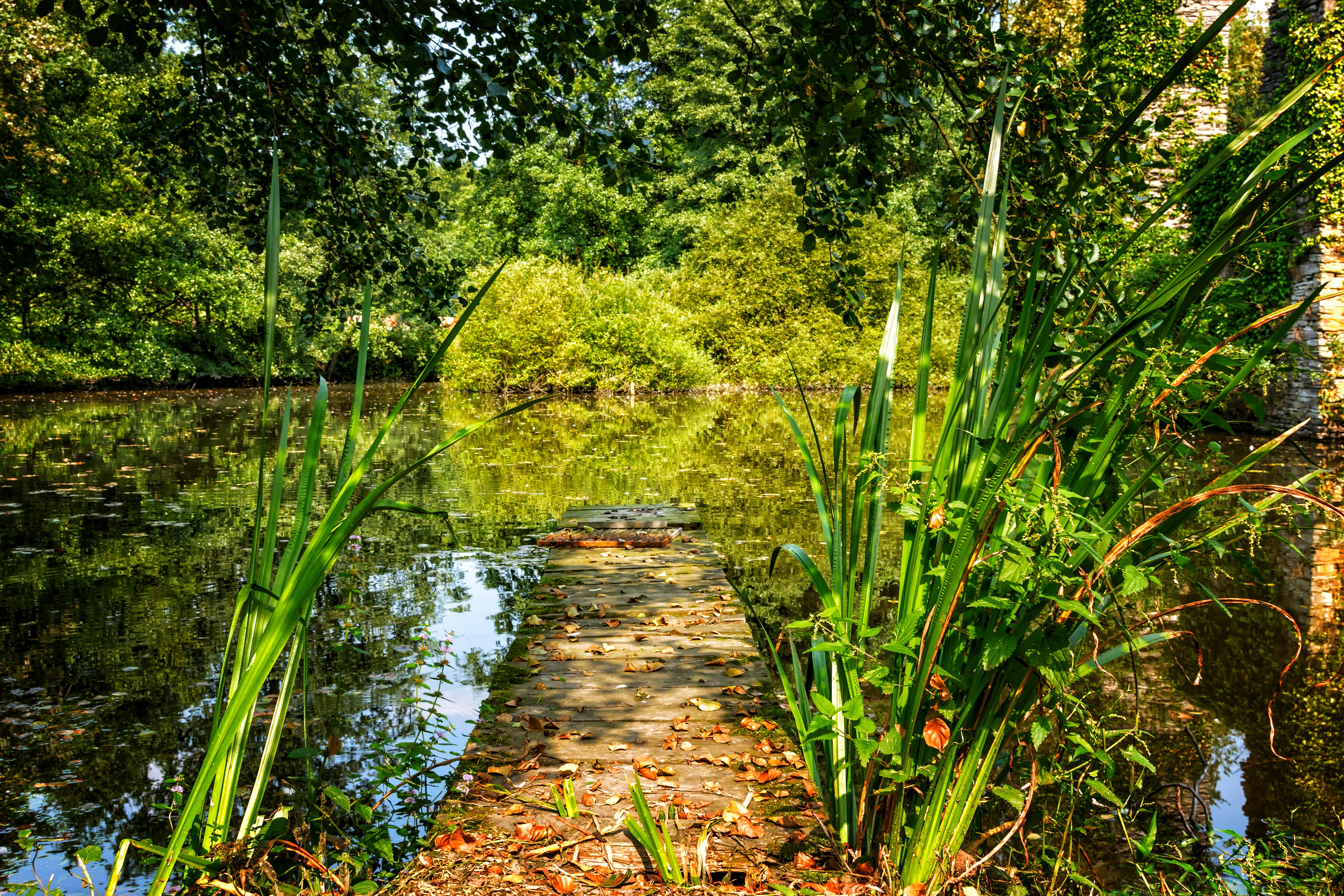 non-urban scene, idyll, tranquil scene, water, air, nature, brown, wooden, ambience, pond, no people, rest, growth, foliage, idyllic, 5K, chill out, tree, HD Wallpaper