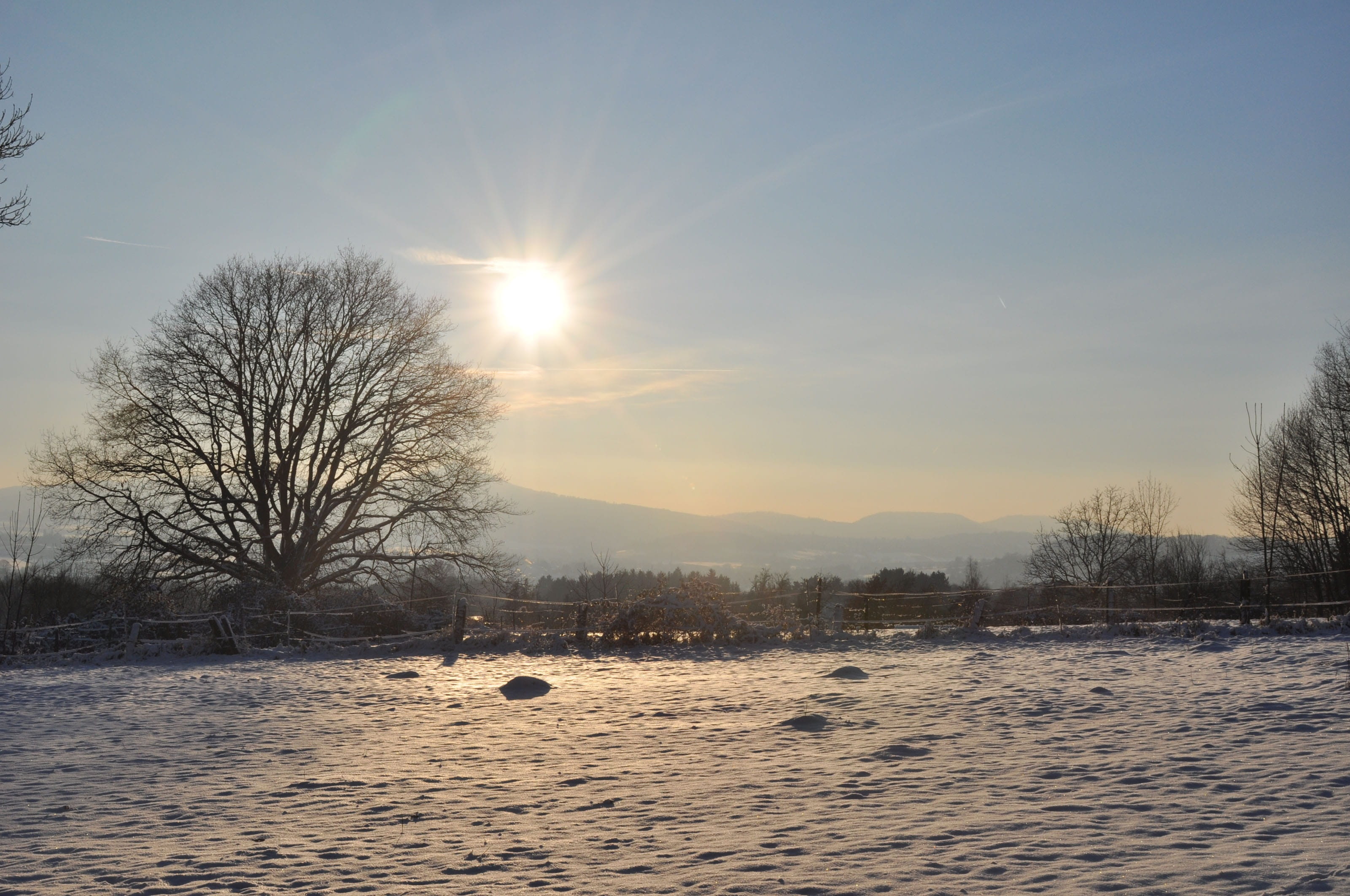 nature, outdoors, twilight, tranquil scene, Beautiful, field, scenics - nature, 2K, sun, blue, tree, sunlight, lens flare, winter, evening, sunbeam, environment, HD Wallpaper
