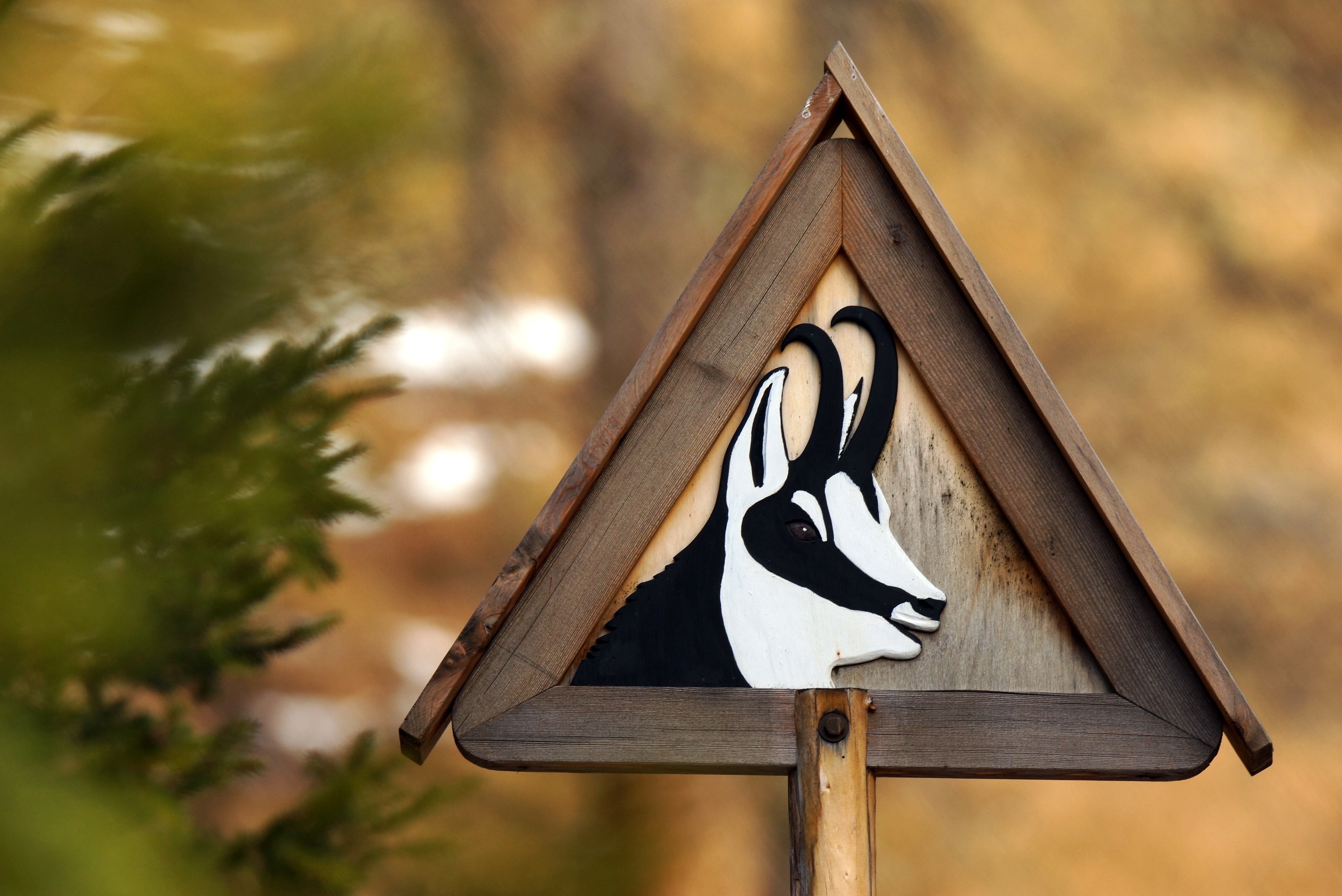 caveat, dolomites, forest, animal, mammal, guidance, triangle, shape, sign, nature, plant, tree, 4K, focus on foreground, outdoors, danger, day, warning sign, HD Wallpaper