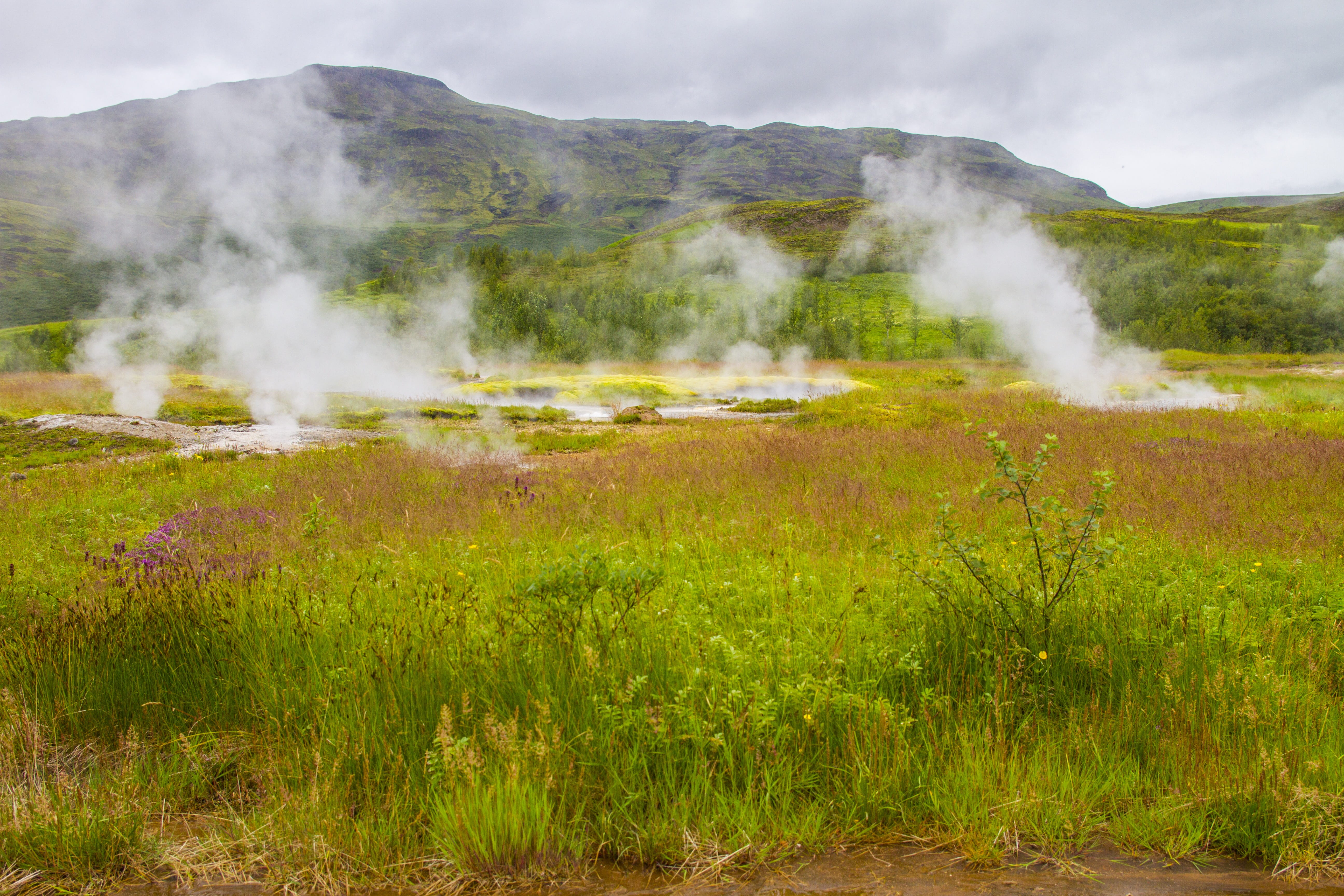 grass, sky, nature, smoke - physical structure, Iceland, environment, scenics - nature, geology, plant, Steam, green color, 5K, Landscape, no people, hot spring, HD Wallpaper