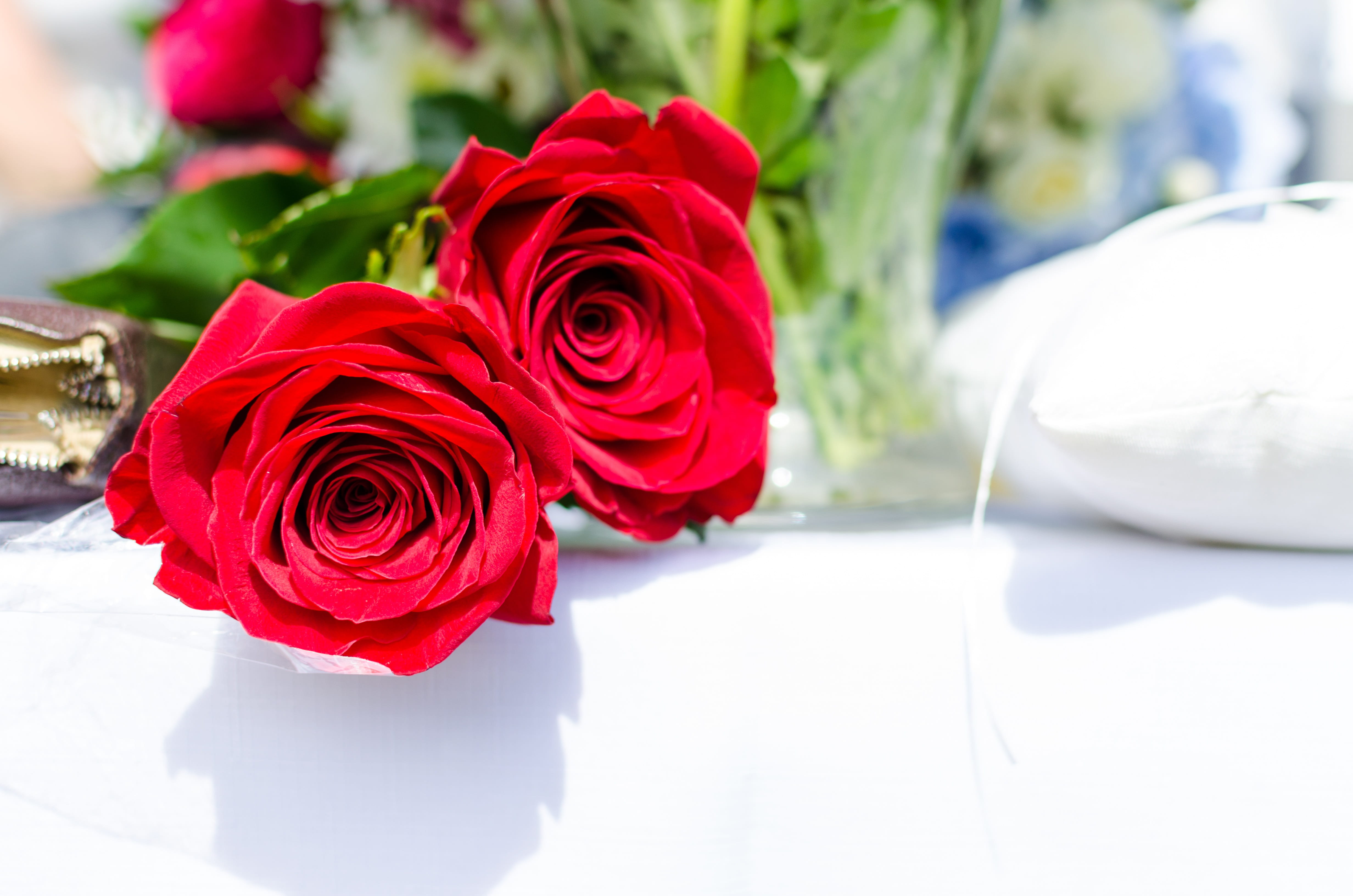 růže, close-up, papír, roses, bouquet, rose, pozadí, nature, red, focus on foreground, červenými, elegance, oslavují, symbolů, květinový, dekorace, textura, HD Wallpaper
