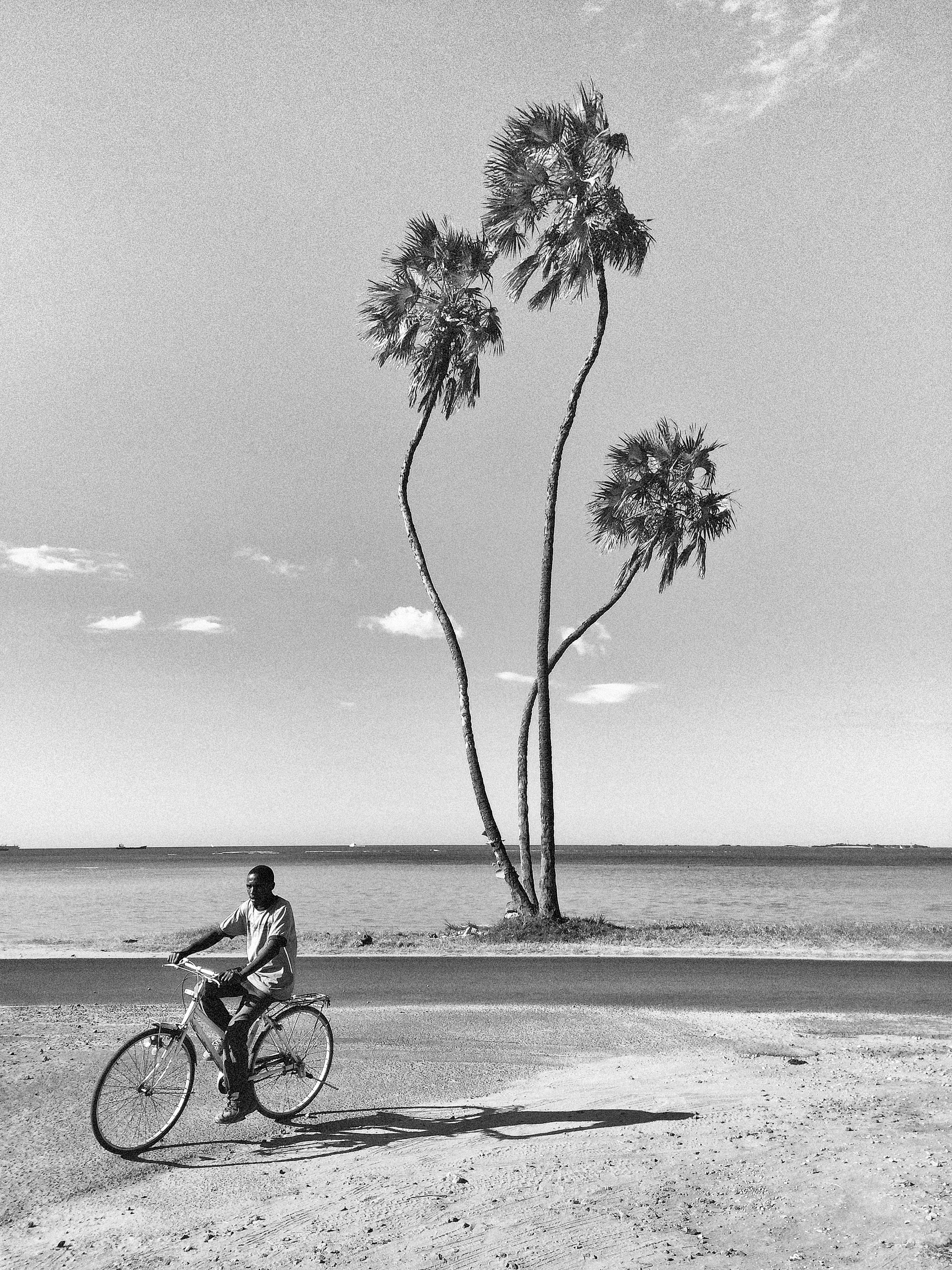transport, dar es salaam, africa, full length, 2K, transportation, man, horizon, tree, one person, outdoors, beauty in nature, plant, ride, sea, sky, indian ocean, Phone HD Wallpaper