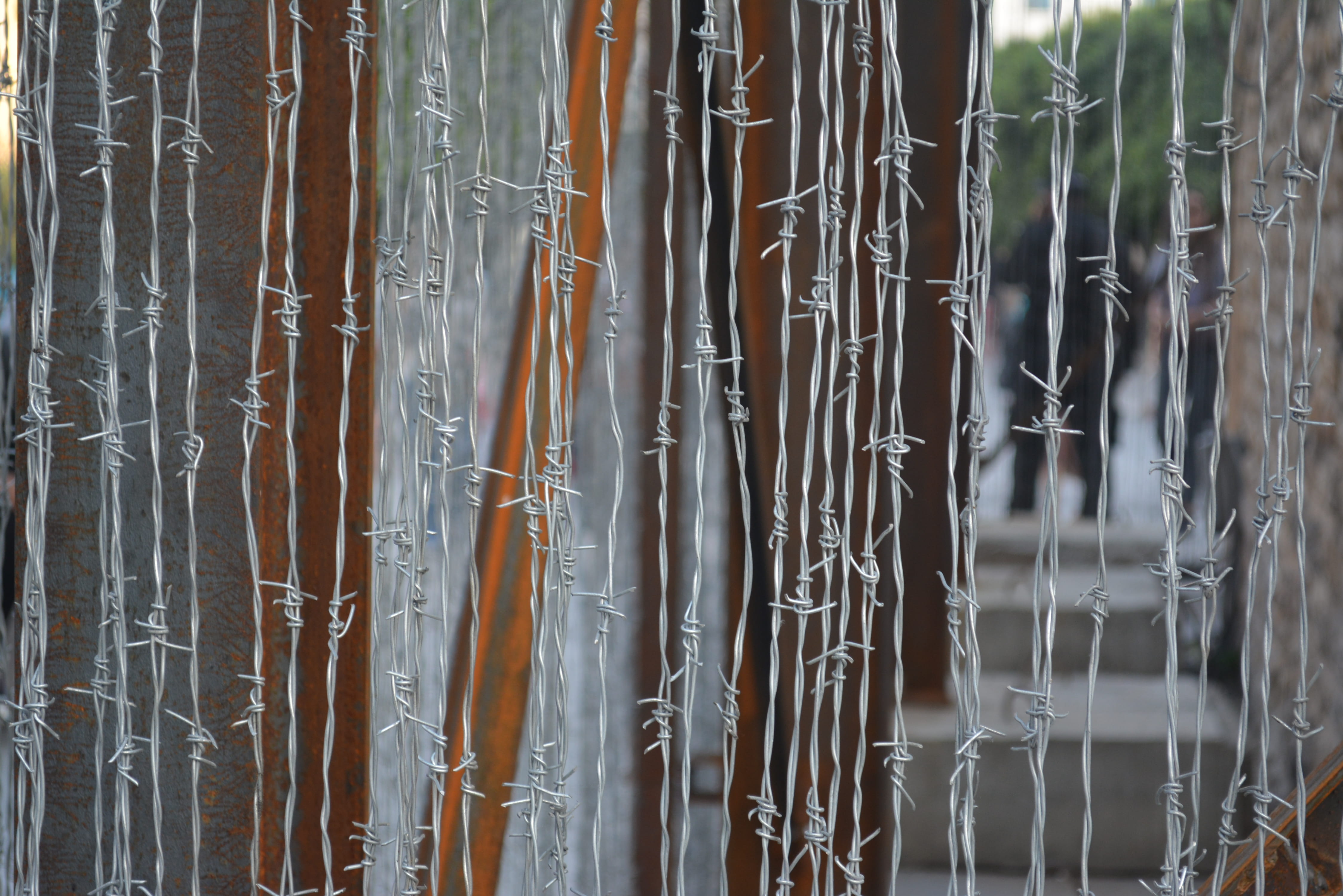plant, close-up, window, police, pattern, no people, focus on foreground, caution, glass - material, bamboo, safety, tunisia, grass, fear, 4K, security, HD Wallpaper