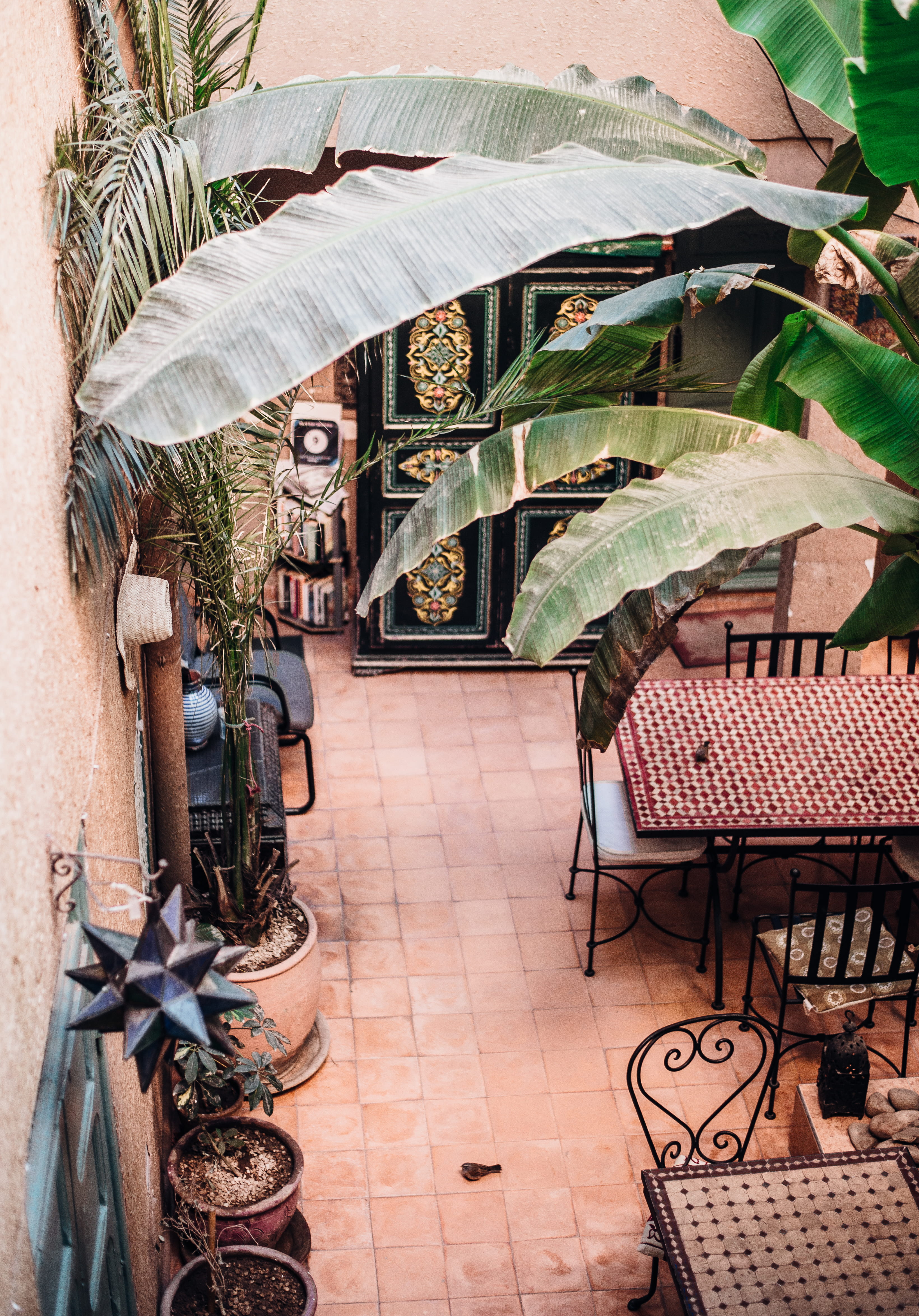 potted plant, chicha, set, tiled floor, architecture, nature, business, empty, patio, table, plant part, chair, no people, seat, building exterior, building, Phone HD Wallpaper