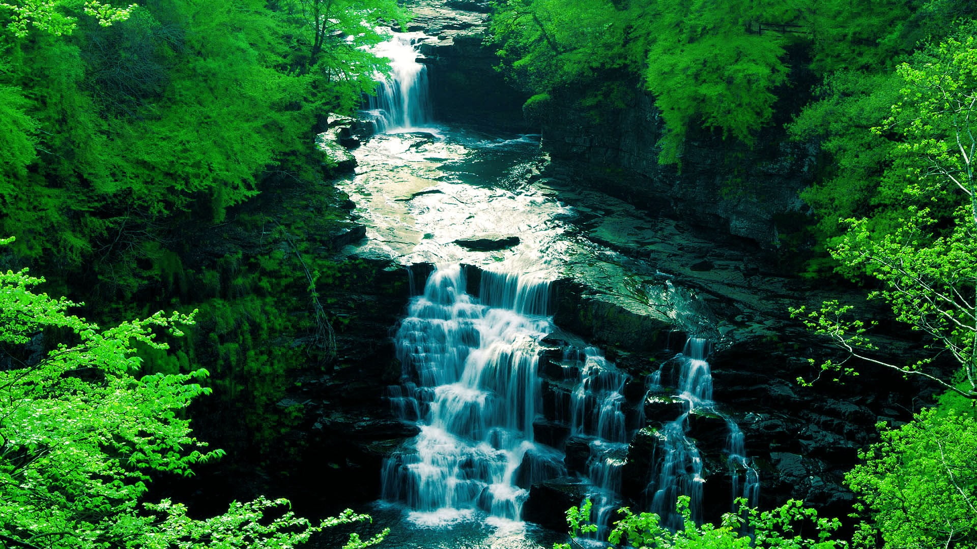 motion, rock - object, landscape, long exposure, tranquility, plant, flowing, tree, land, 1080P, outdoors, flowing water, beauty in nature, waterfalls, HD Wallpaper