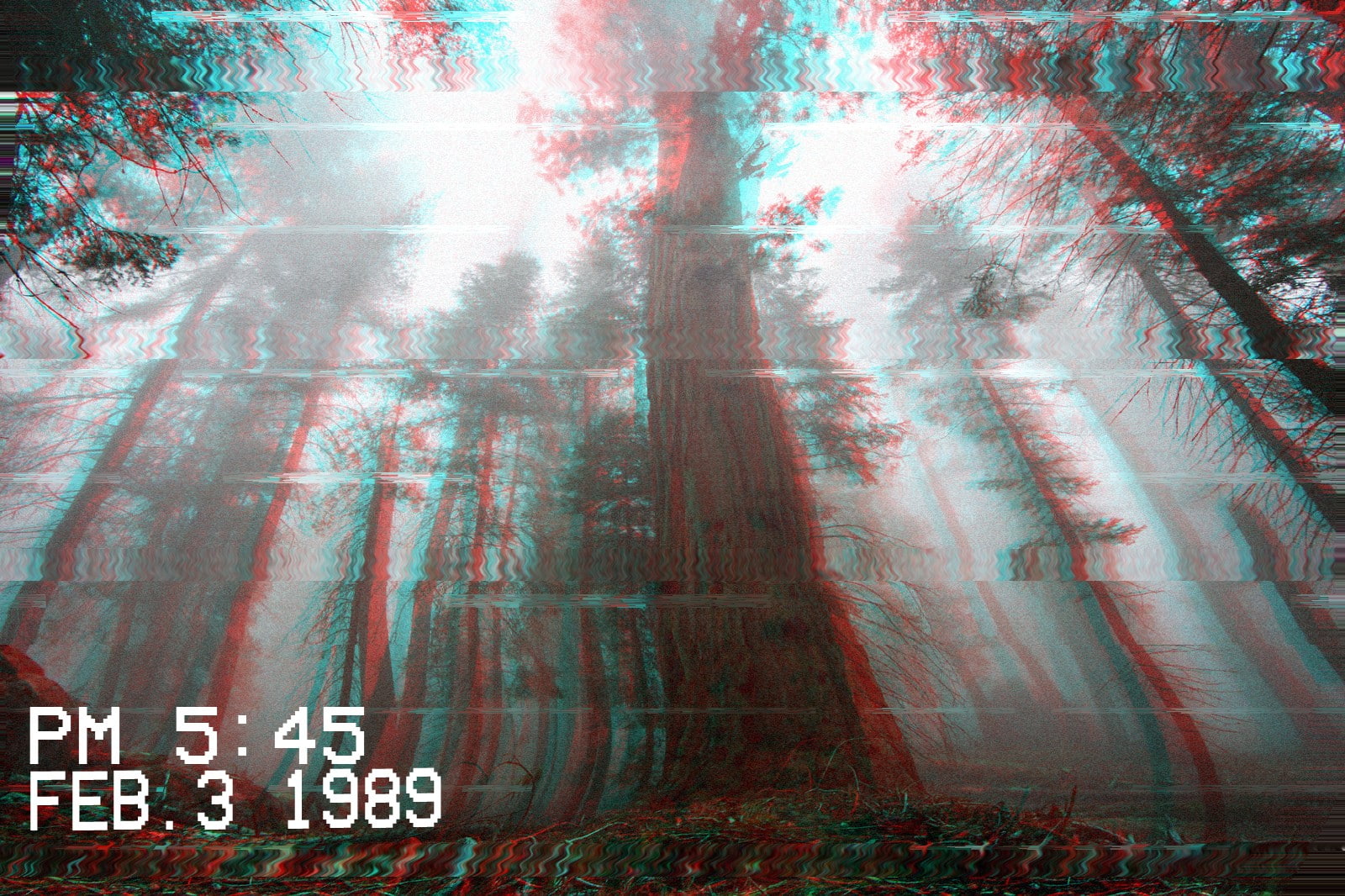 glitch art, architecture, forest, text, western script, communication, sign, barrier, creativity, tree, 720P, pattern, wall - building feature, outdoors, HD Wallpaper