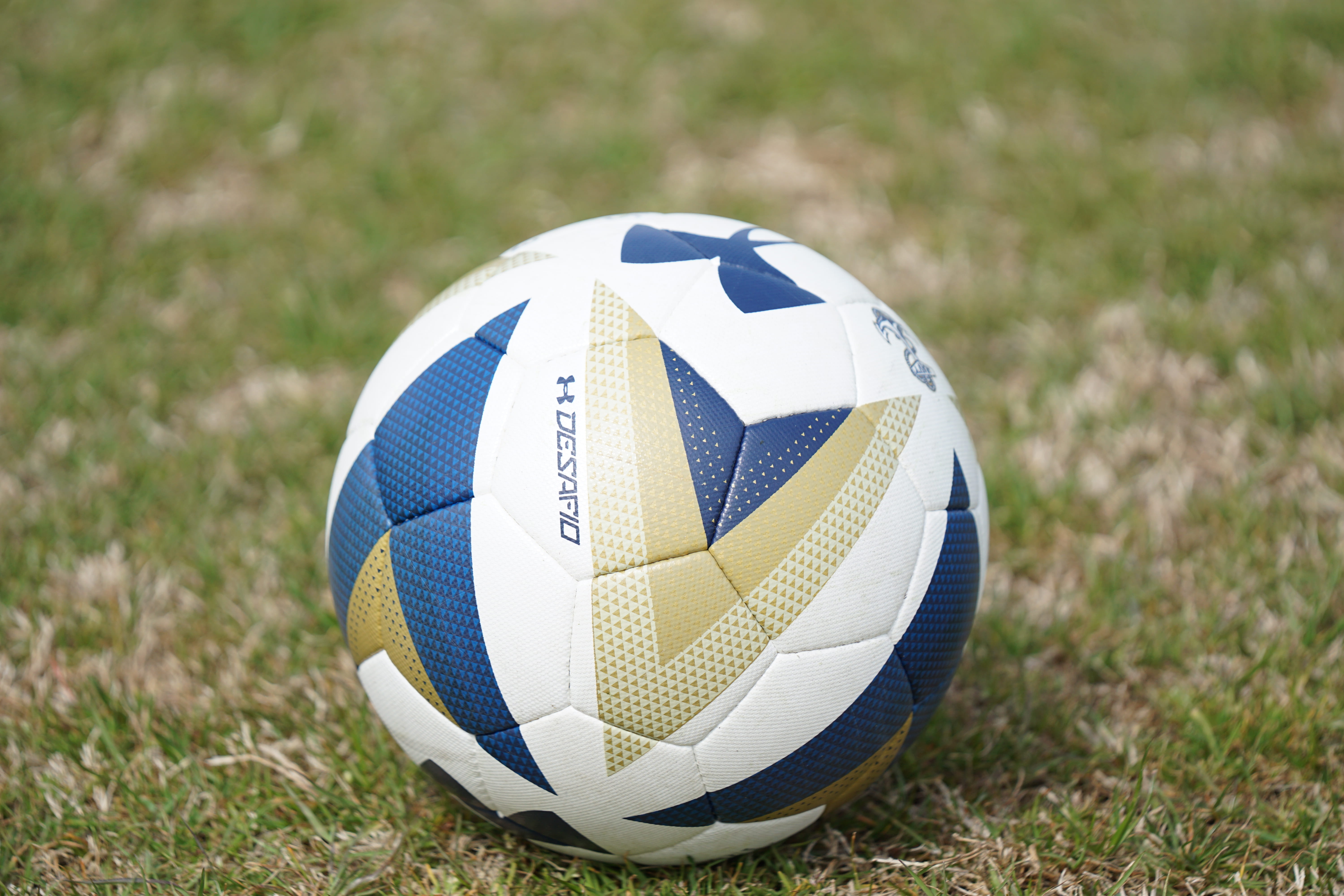 no people, outdoors, armour, sport, day, shape, sphere, single object, soccer, team sport, 5K, green color, white, soccer ball, close-up, nature, grass, HD Wallpaper