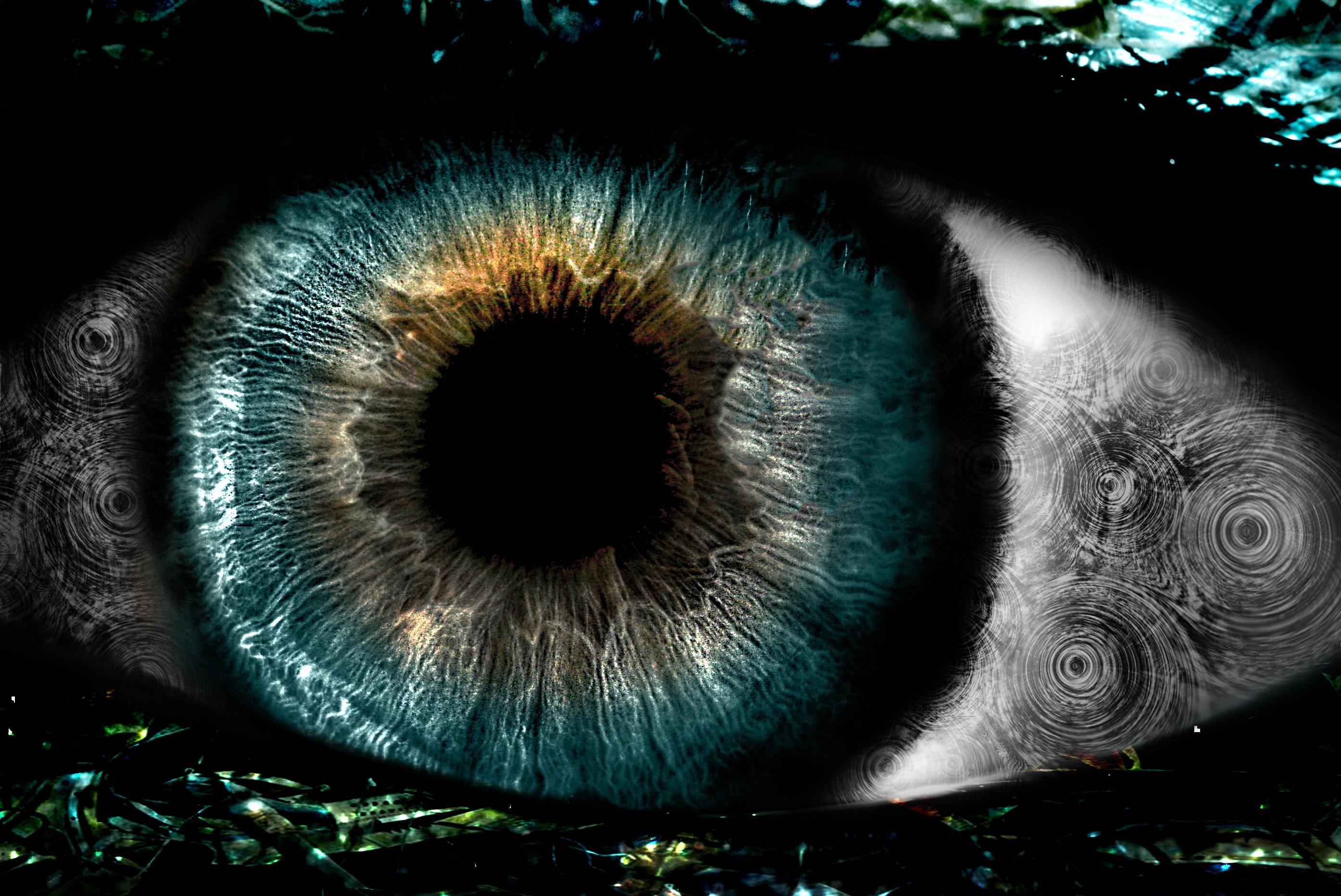2K, eyes, graphic design, HD Wallpaper