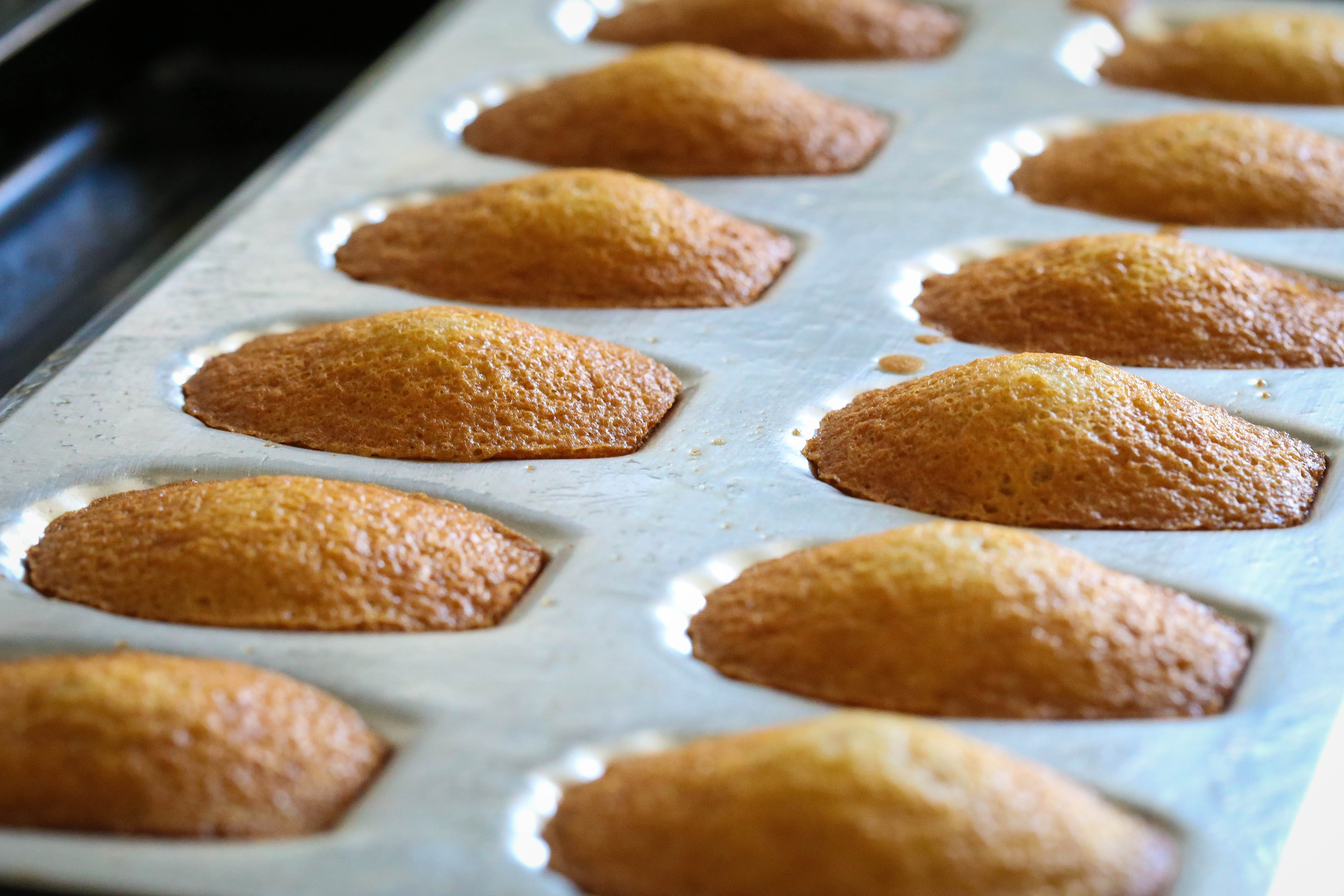 photography, yummy, food and drink, muffins, no people, 5K, close-up, food, baked, cookie, row, cupcakes, cooking, sweet, sweet food, baking sheet, cake, HD Wallpaper