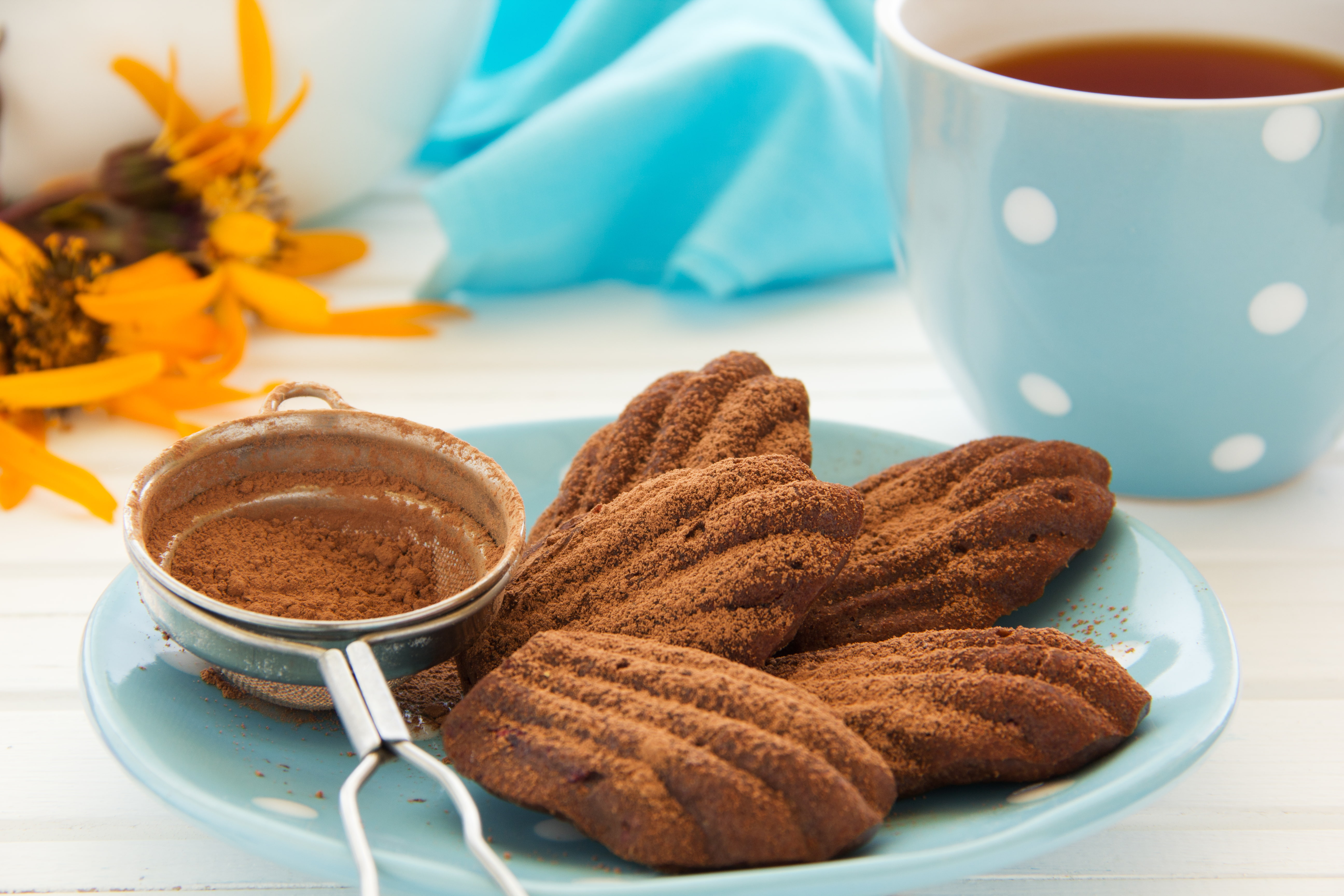 madeleine, 5K, cakes, biscuits, coffee, Breakfast, Cup, cookies, dessert, pastries, chocolate, tea, food, sweet, cake, HD Wallpaper