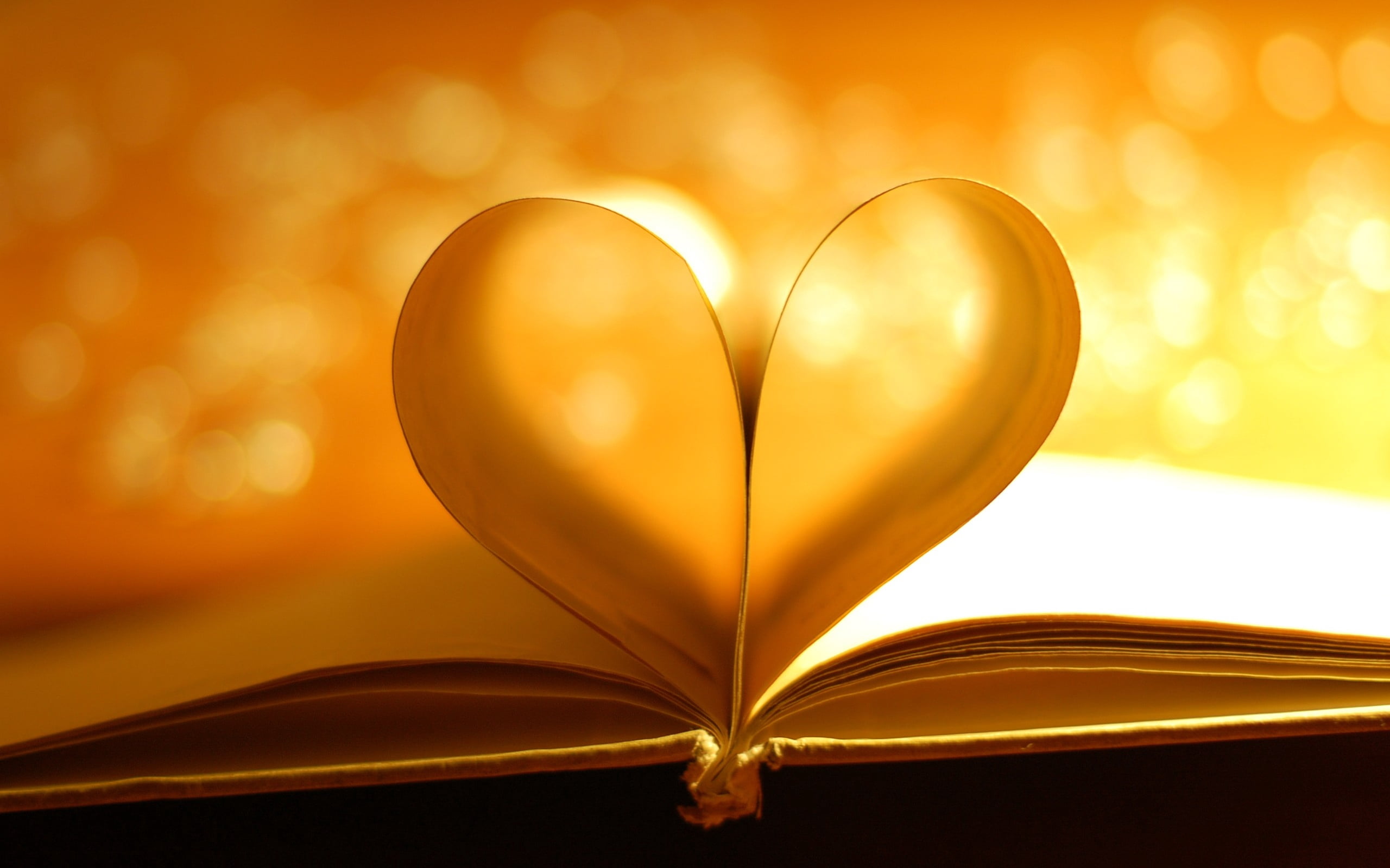romance, art, gold colored, symbol, open, wisdom, shadow, concepts, gift, red, bible, shiny, valentine Card, still life, literature, heart Shape, indoors, HD Wallpaper