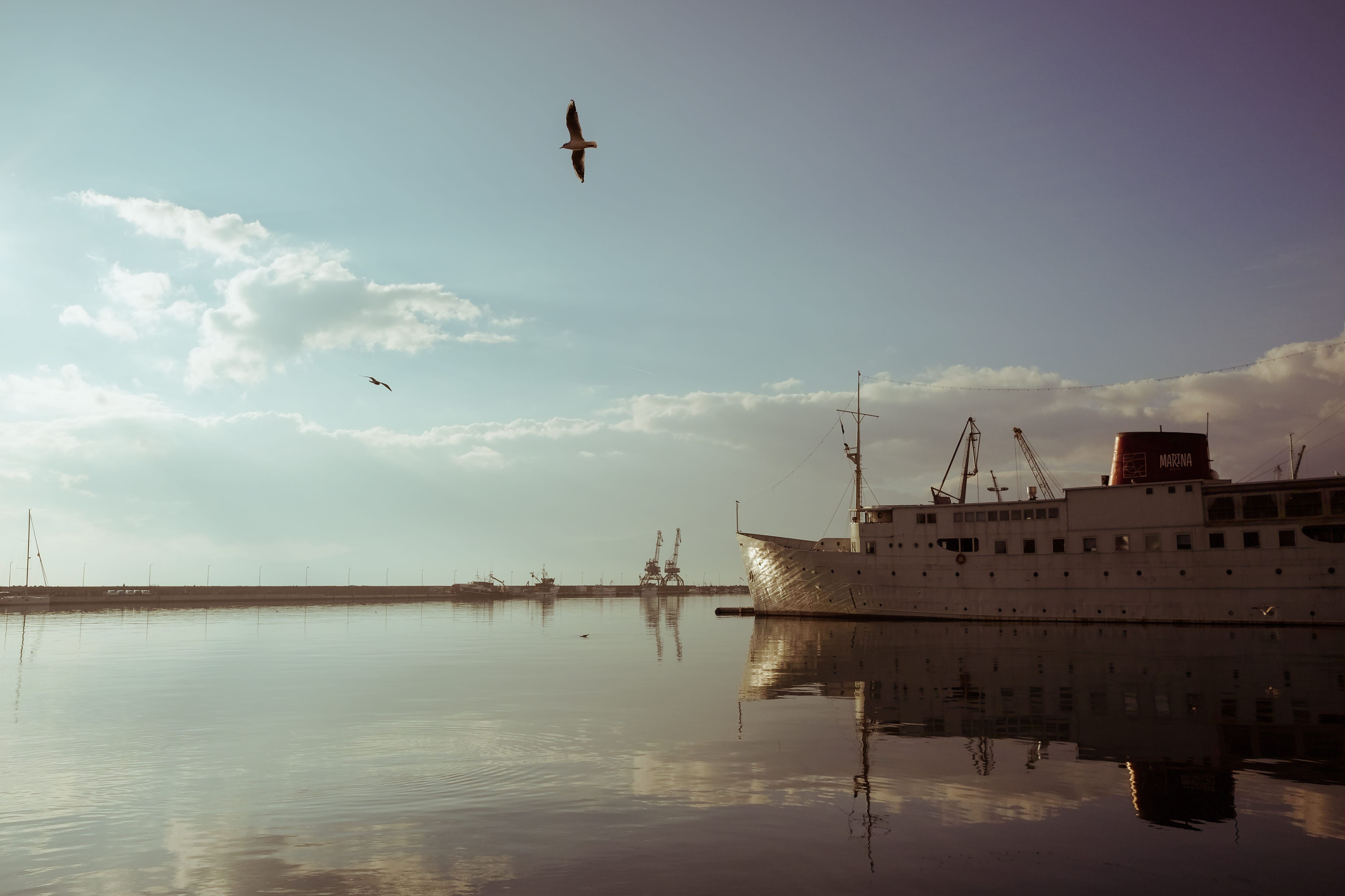 winter, bird, outdoors, transportation, port, flying, animal, waterfront, nautical vessel, seagull, 4K, animals in the wild, vertebrate, vintage, mode of transportation, HD Wallpaper