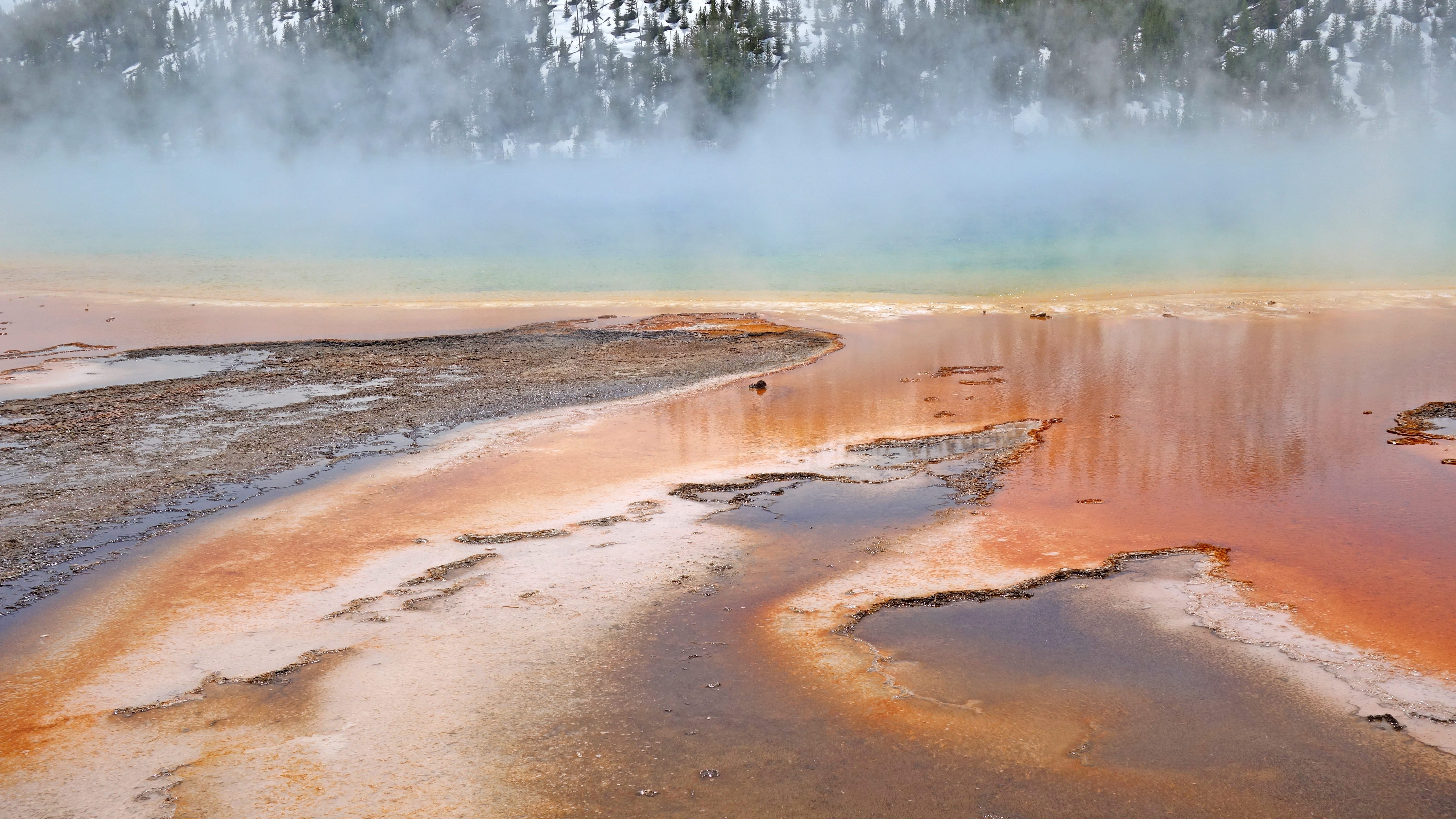 grand prismatic spring, travel, beauty in nature, united states, water, hot spring, steam, national, power in nature, tranquility, National Park, Yellowstone, HD Wallpaper