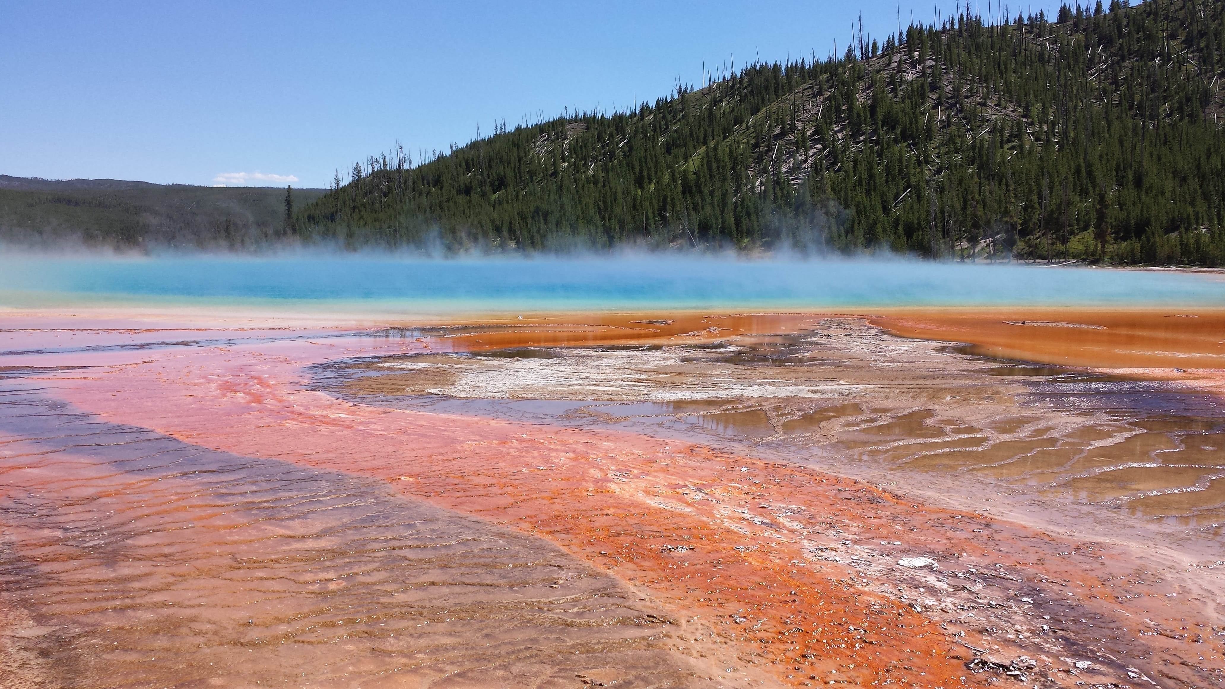 steam, hot spring, pine woodland, Prismatic, land, scenics - nature, water, no people, Grand, nature, outdoors, geyser, geology, environment, Spring, spring, HD Wallpaper