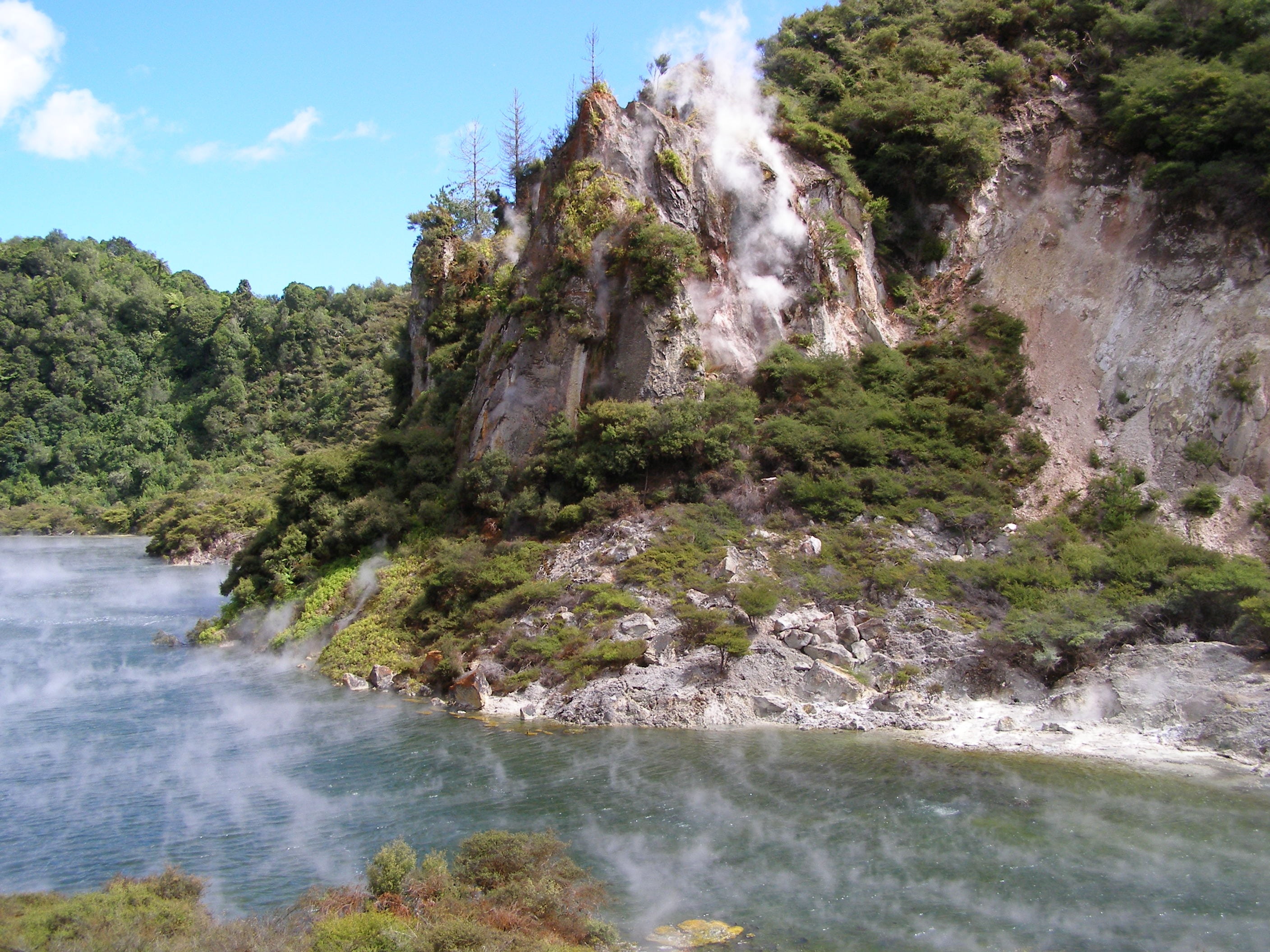 new zealand, rock - object, river, growth, plant, tranquil scene, outdoors, sky, flowing water, landscape, attraction, tranquility, no people, nature, power in nature, HD Wallpaper