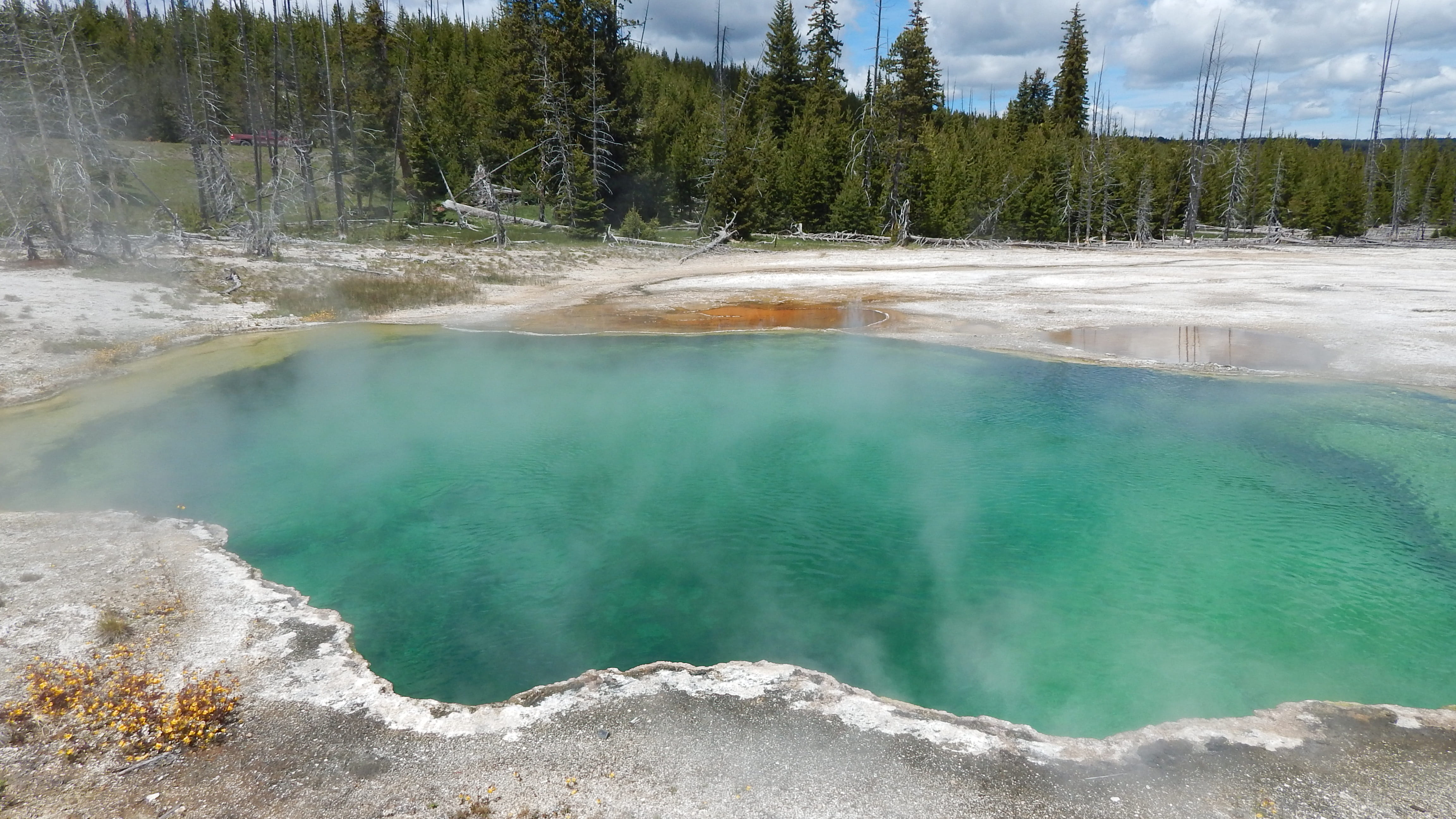 hot spring, wyoming, hot, tree, non-urban scene, turquoise colored, tranquil scene, smoke - physical structure, geothermal, Yellowstone, scenics - nature, HD Wallpaper