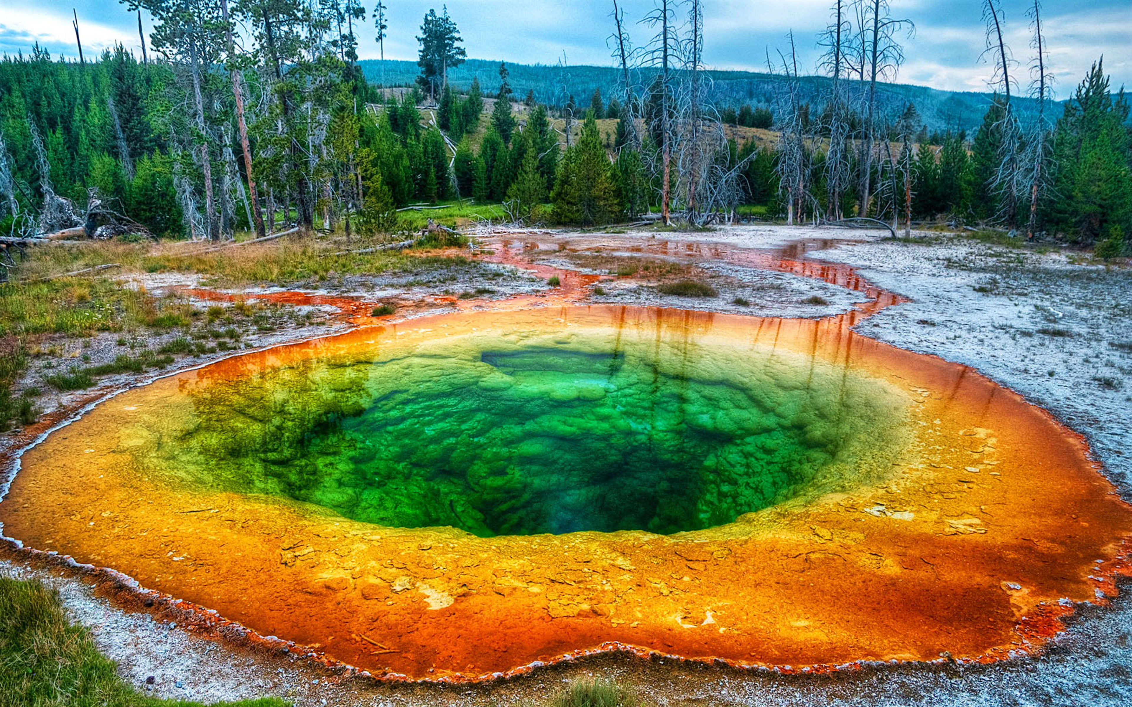 water, geology, beautiful, plant, scenics - nature, park, tree, power in nature, day, hot spring, nature, turquoise colored, land, beauty in nature, HD Wallpaper