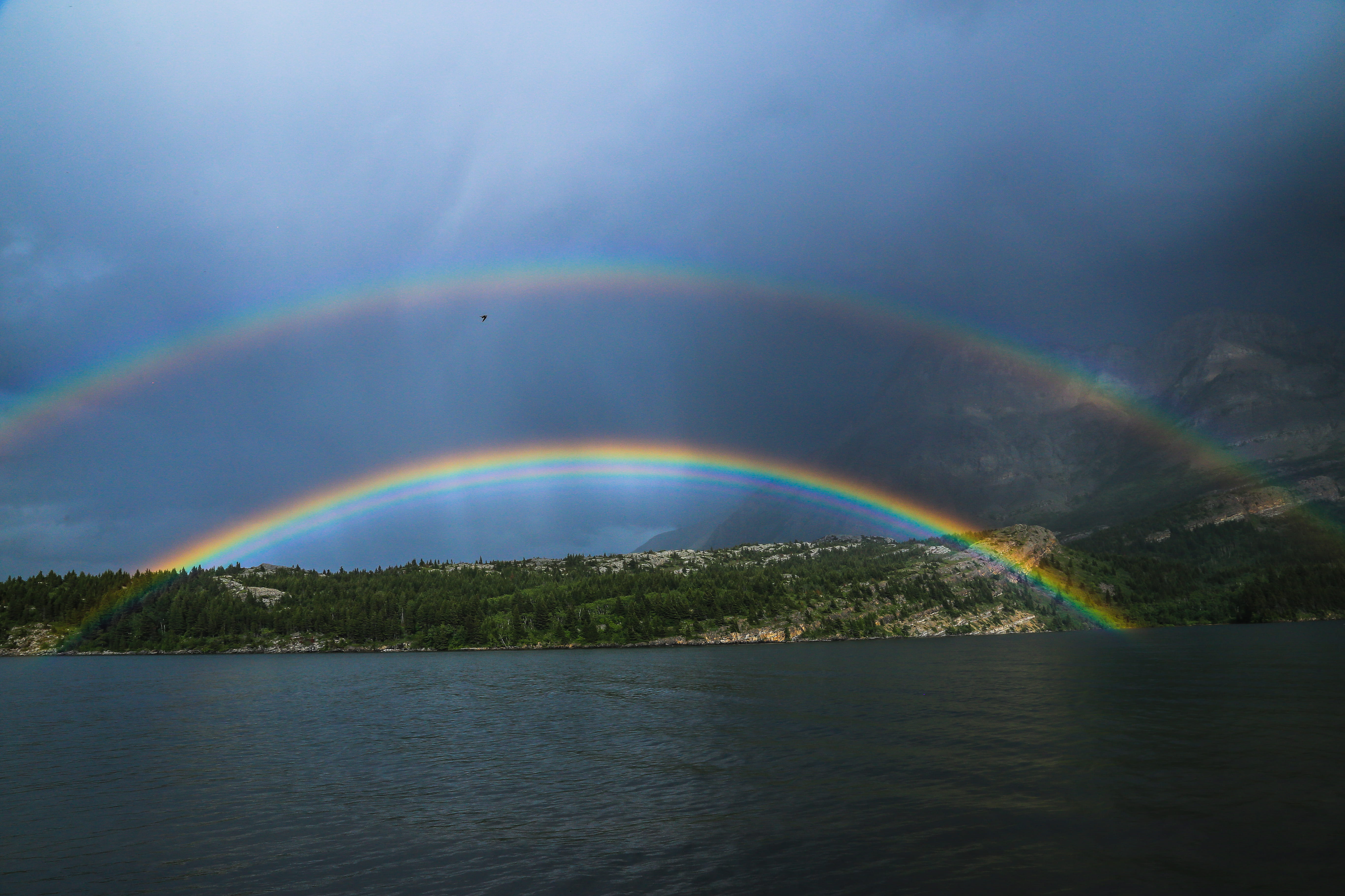 tranquil scene, 5K, no people, nature, beauty in nature, rainbow, body, multi colored, idyllic, across, woods, lake, waterfront, spectrum, water, non-urban scene, HD Wallpaper
