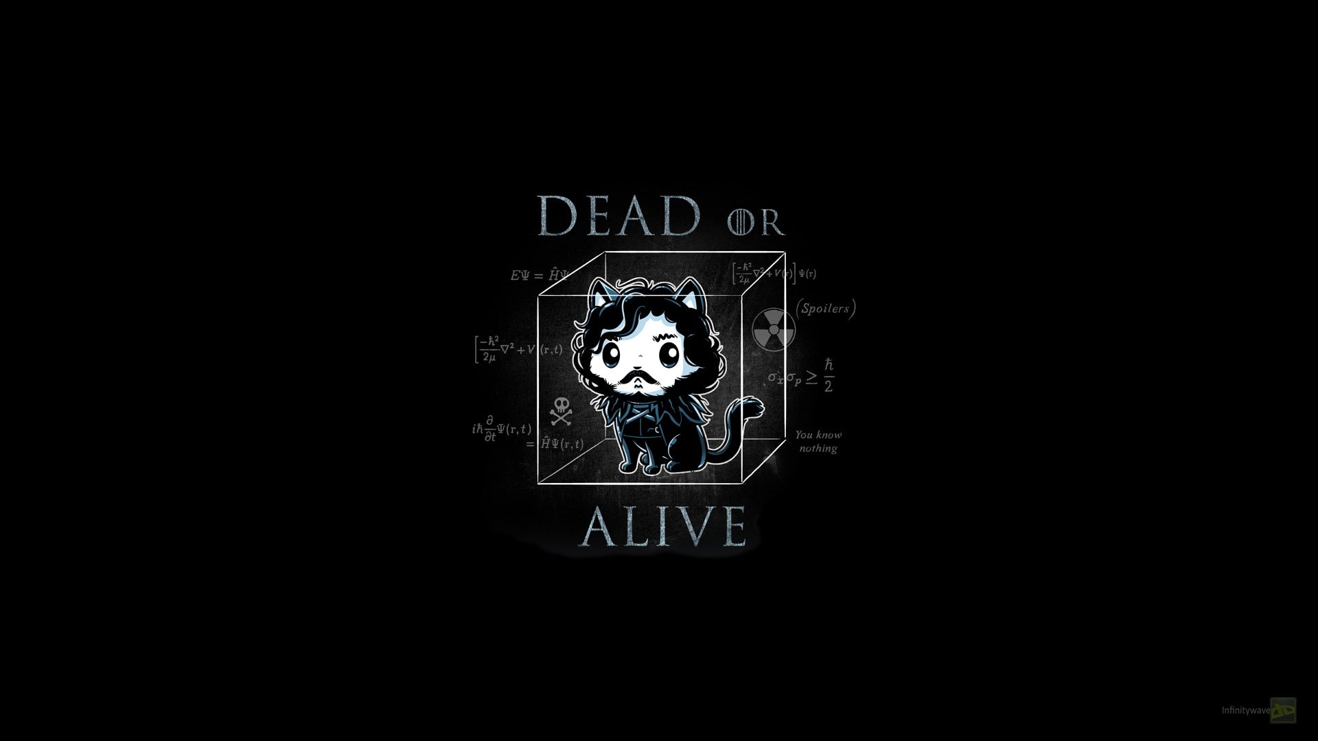 Jon Snow, Game of Thrones, humor, artwork, quantum theory, 1080P, cat, HD Wallpaper