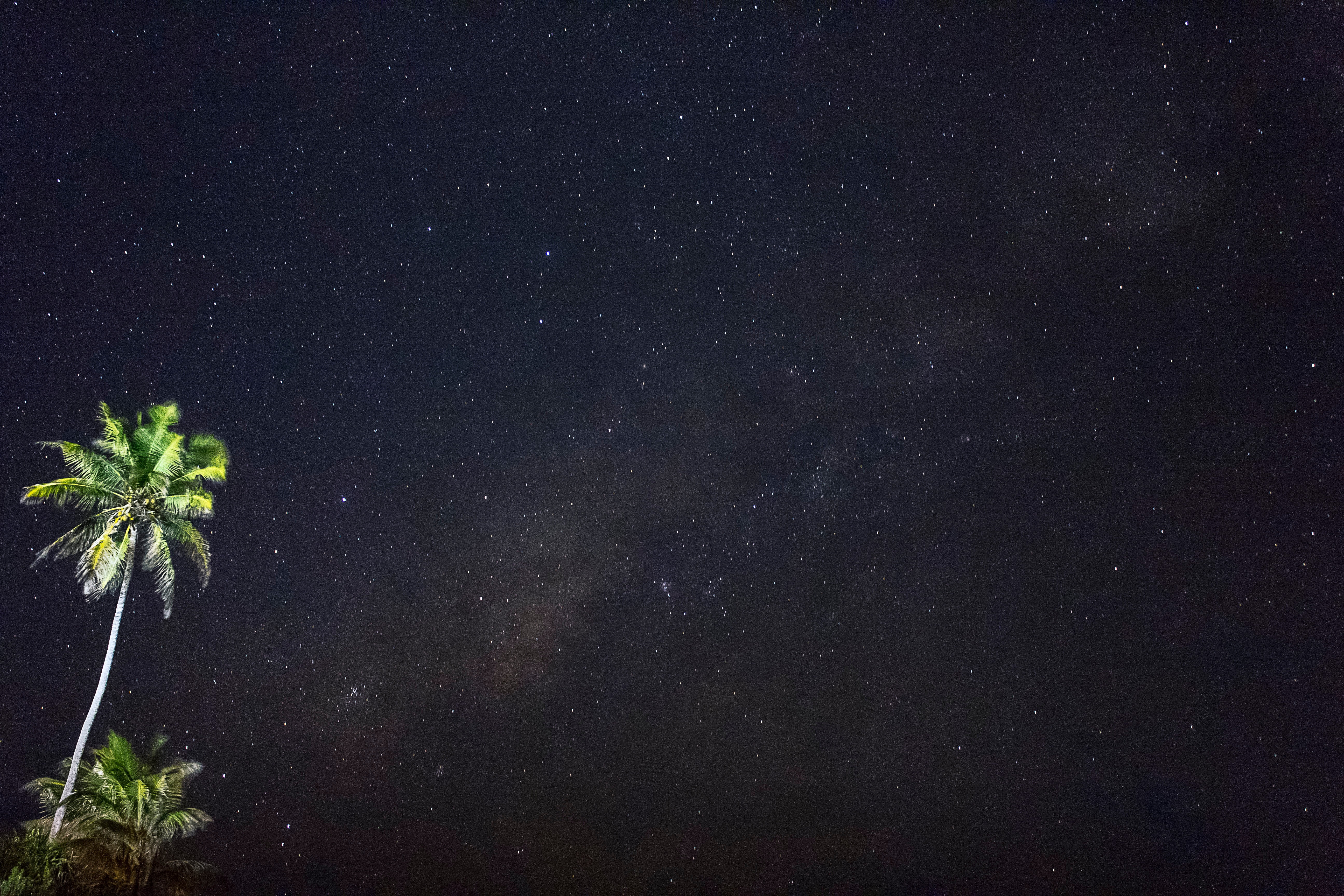 space and astronomy, scenics - nature, astronomy, lights, star, starry, night, coconut, beauty in nature, plant, tranquil scene, tranquility, milky way, HD Wallpaper