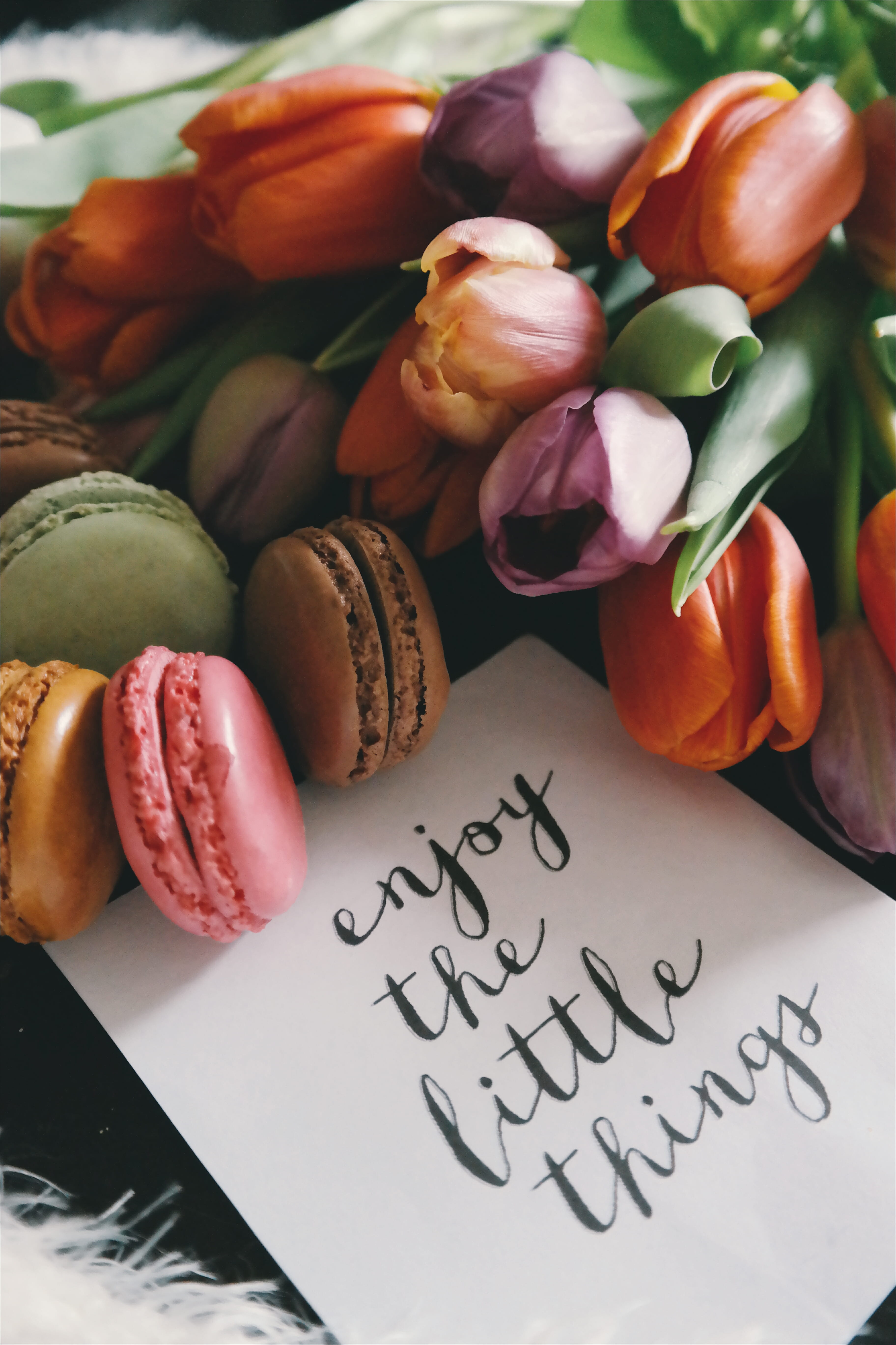 tulip, close-up, reads, snacks, text, freshness, message, flower head, still life, 5K, nature, beauty in nature, paper, piece, communication, flowering plant, Phone HD Wallpaper