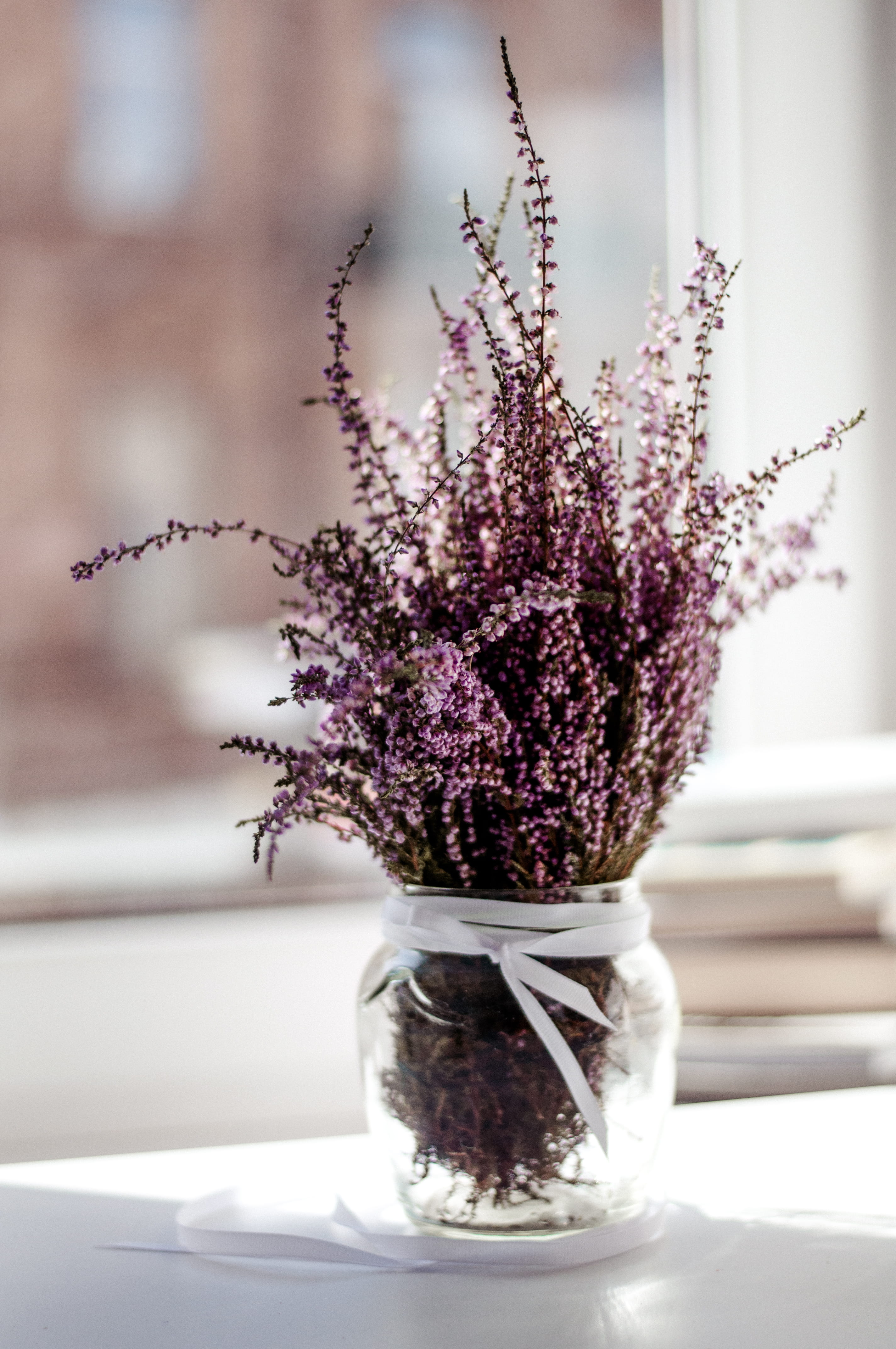 flower arrangement, day, glass - material, photography, interior, no people, home, bunch of flowers, cluster, white, bouquet, focus, fragility, purple, Phone HD Wallpaper