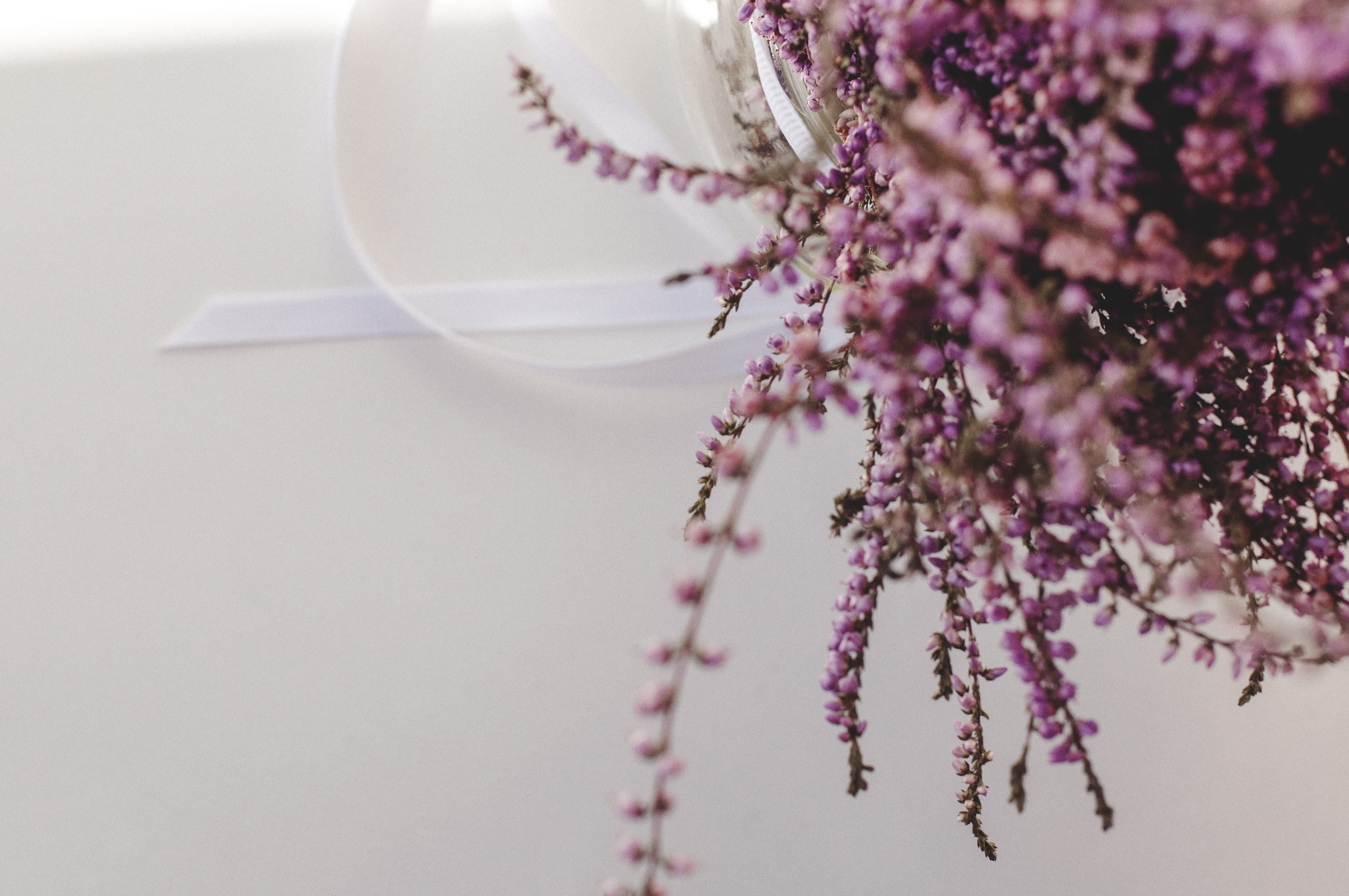blossom, little thing, vulnerability, cluster, springtime, fragility, flower arrangement, close-up, bloom, flower, glass, no people, food, 2K, lavender, HD Wallpaper