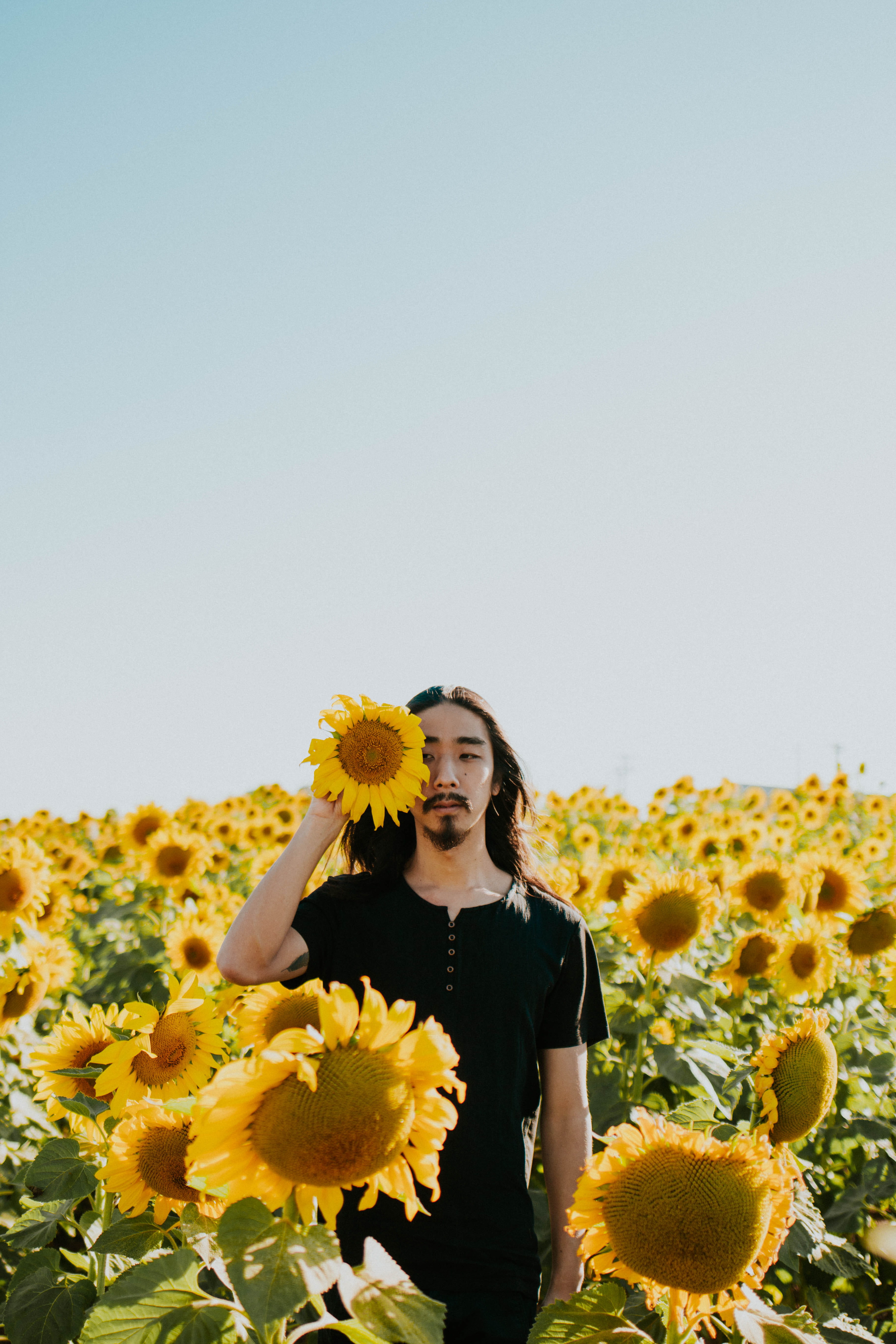 three quarter length, bloom, beauty in nature, young adult, sunflower field, one person, flowering plant, sunflowers, petals, clear sky, holding, flower arrangement, Phone HD Wallpaper