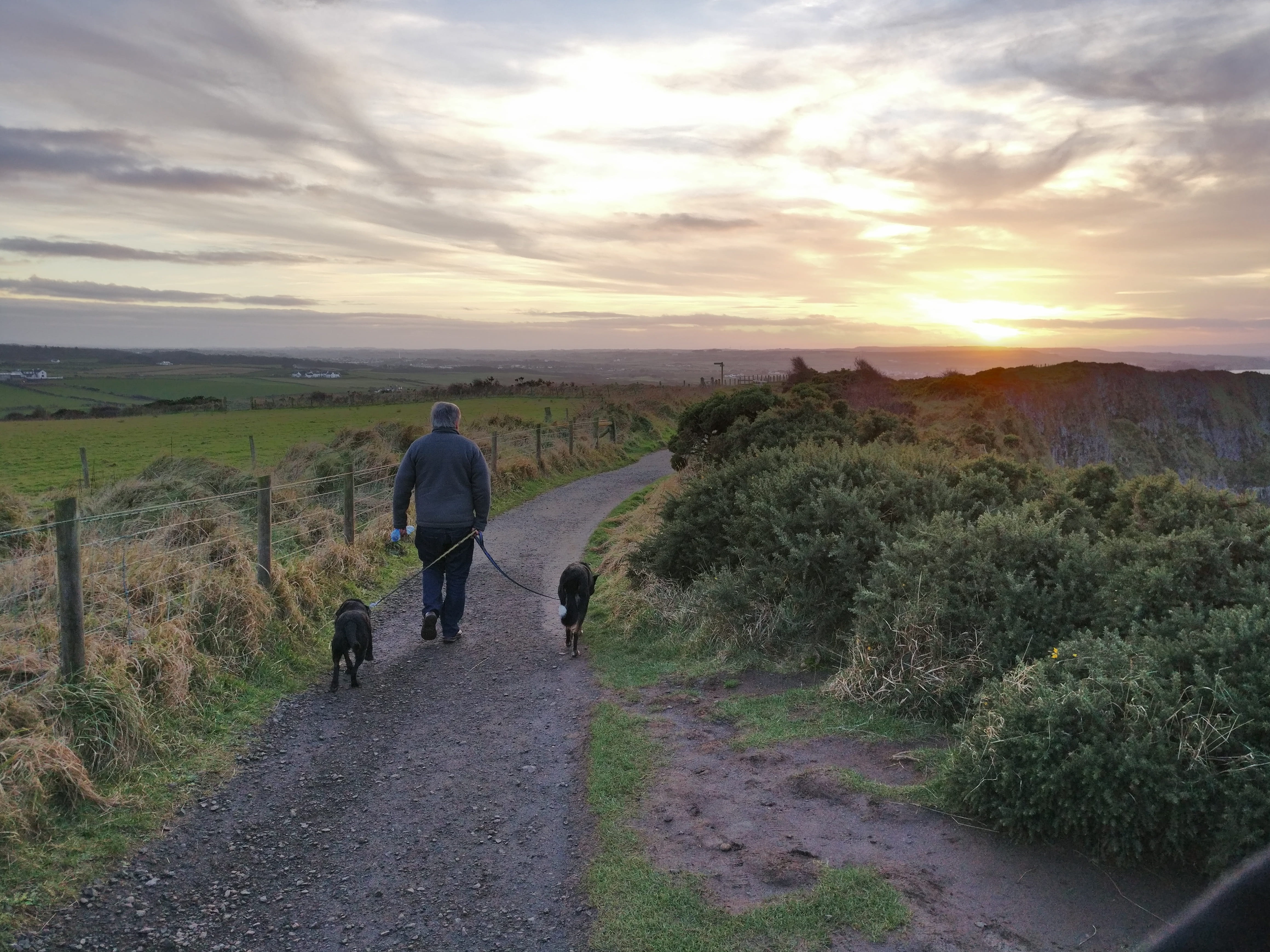 real people, plant, cloud - sky, dog, Sunset, nature, outdoors, pets, sky, transportation, animal, Man, walking, Dogs, man, giants causeway, Walking, 4K, HD Wallpaper