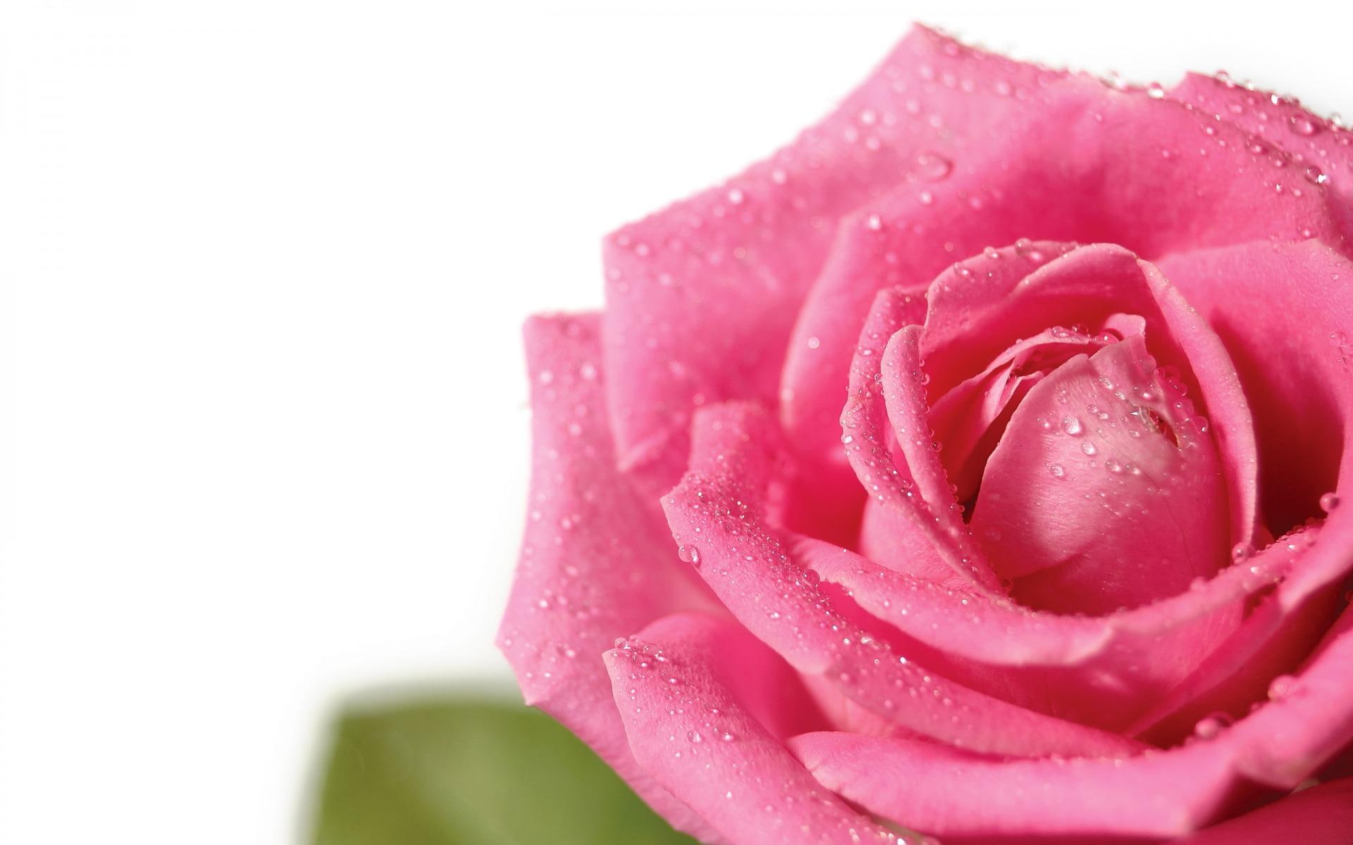 3d and abstract, love, fabulous, lovely, declaration, beauty, ultimate, 1080P, pretty, HD Wallpaper