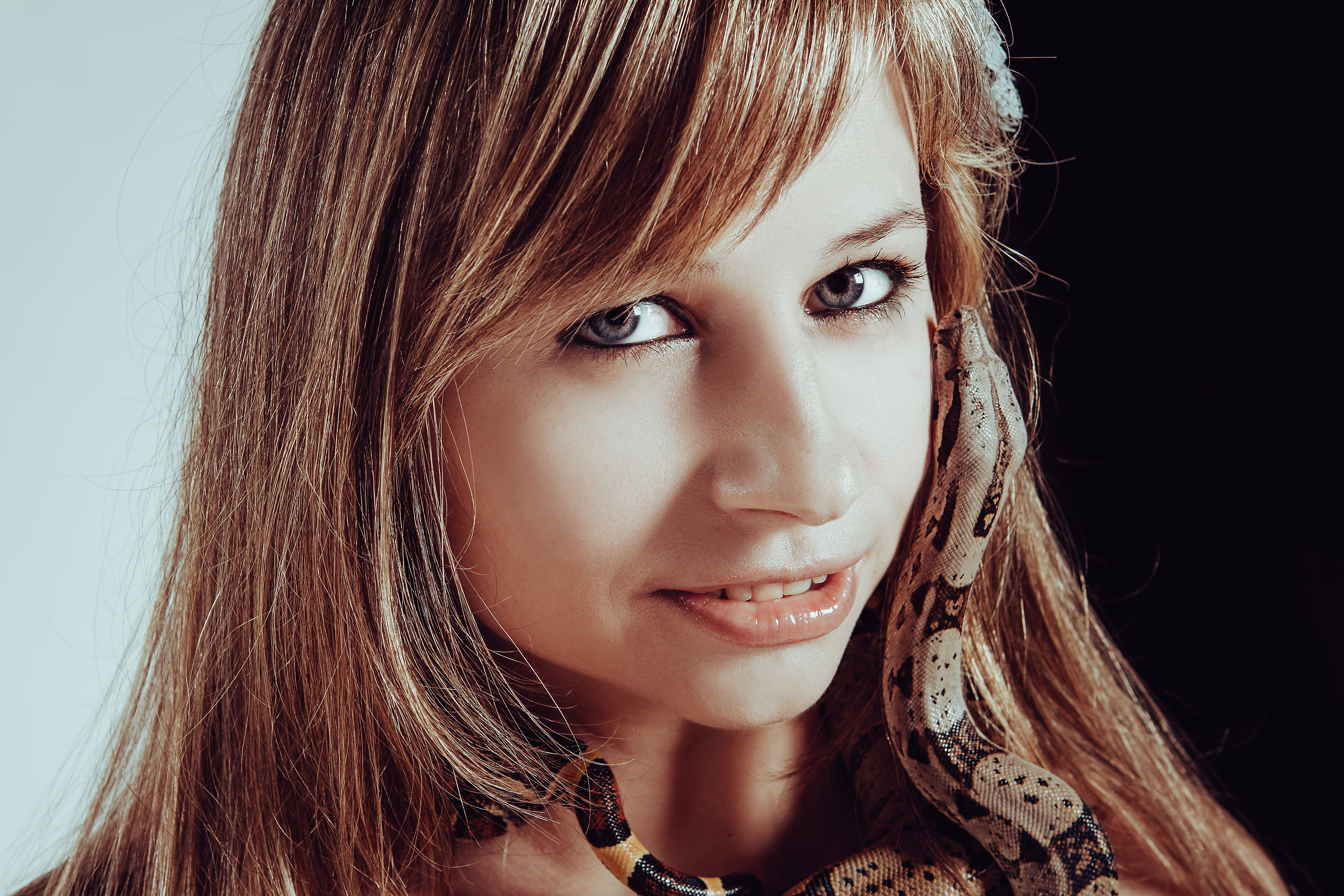 women, bastards, redhead, body part, one person, indoors, hair, portrait, with a snake, looking at camera, hand, 5K, reptile, young women, snake, snakes, HD Wallpaper