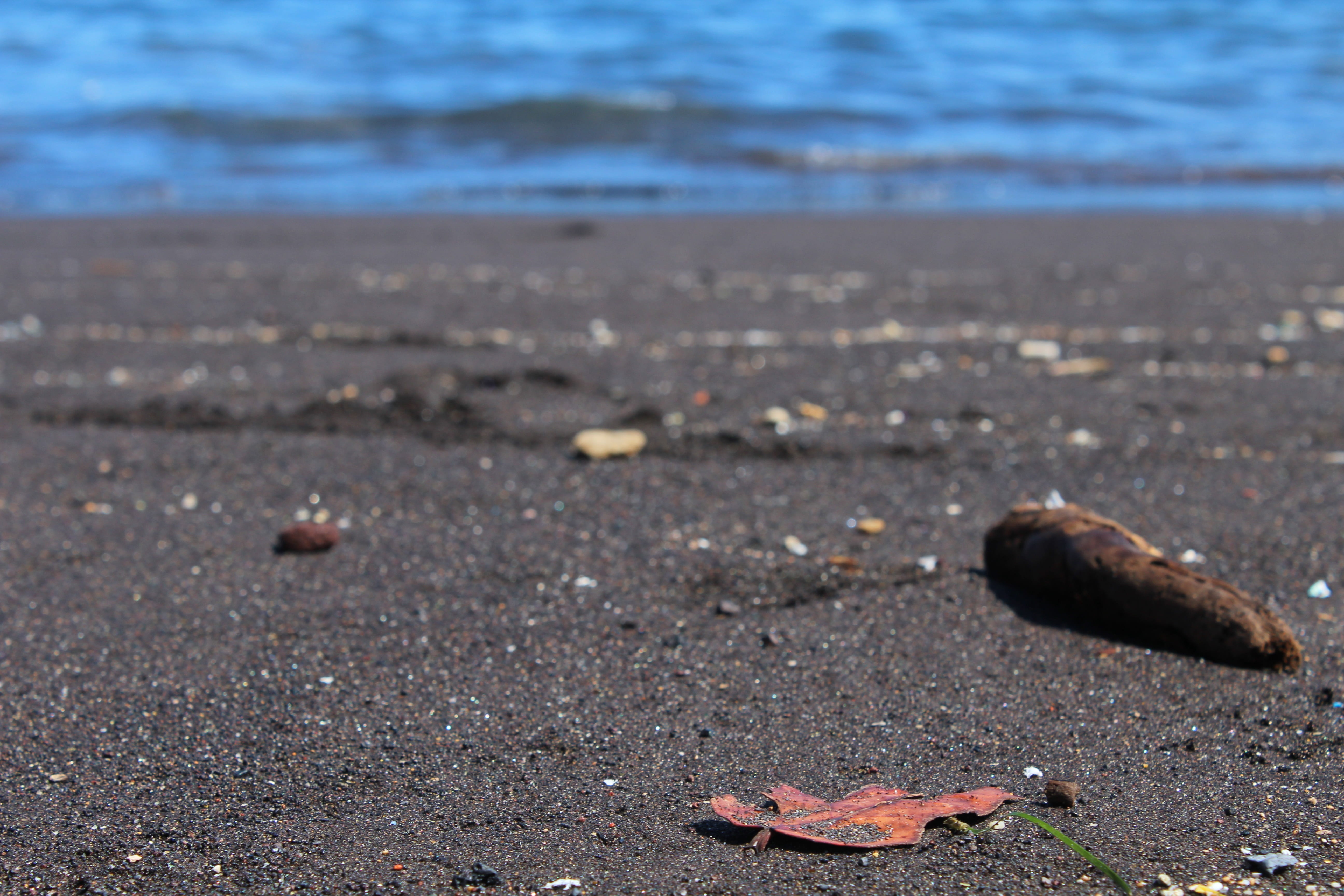 ocean, summer, horizon, outdoors, sand, nature, earth, sunlight, 5K, water, sea, road, beach, day, transportation, animal, beauty in nature, stones, tenerife, HD Wallpaper
