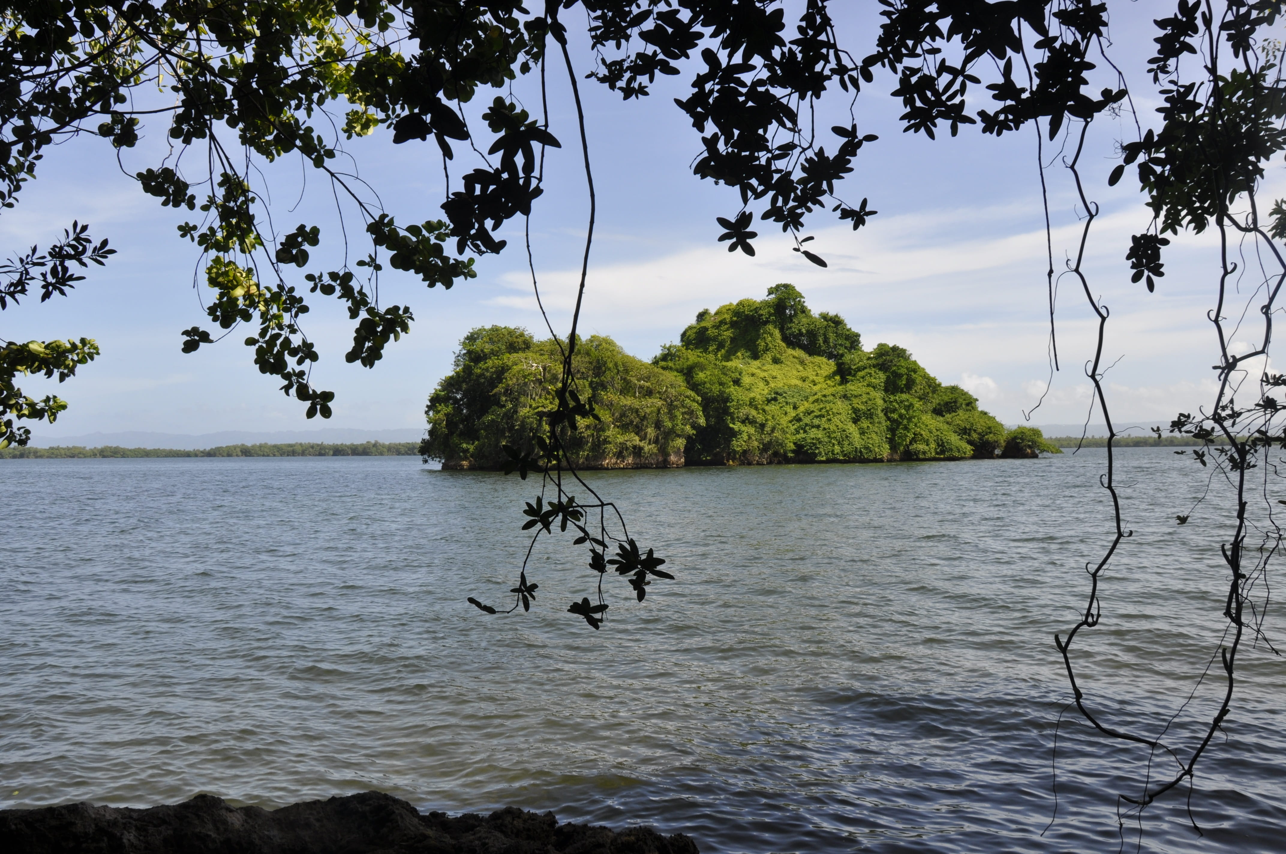 waterfront, branch, lake, growth, color, clouds, non-urban scene, day, take it easy, nature, sky, water, afternoon, beach, beauty in nature, plant, costa, HD Wallpaper