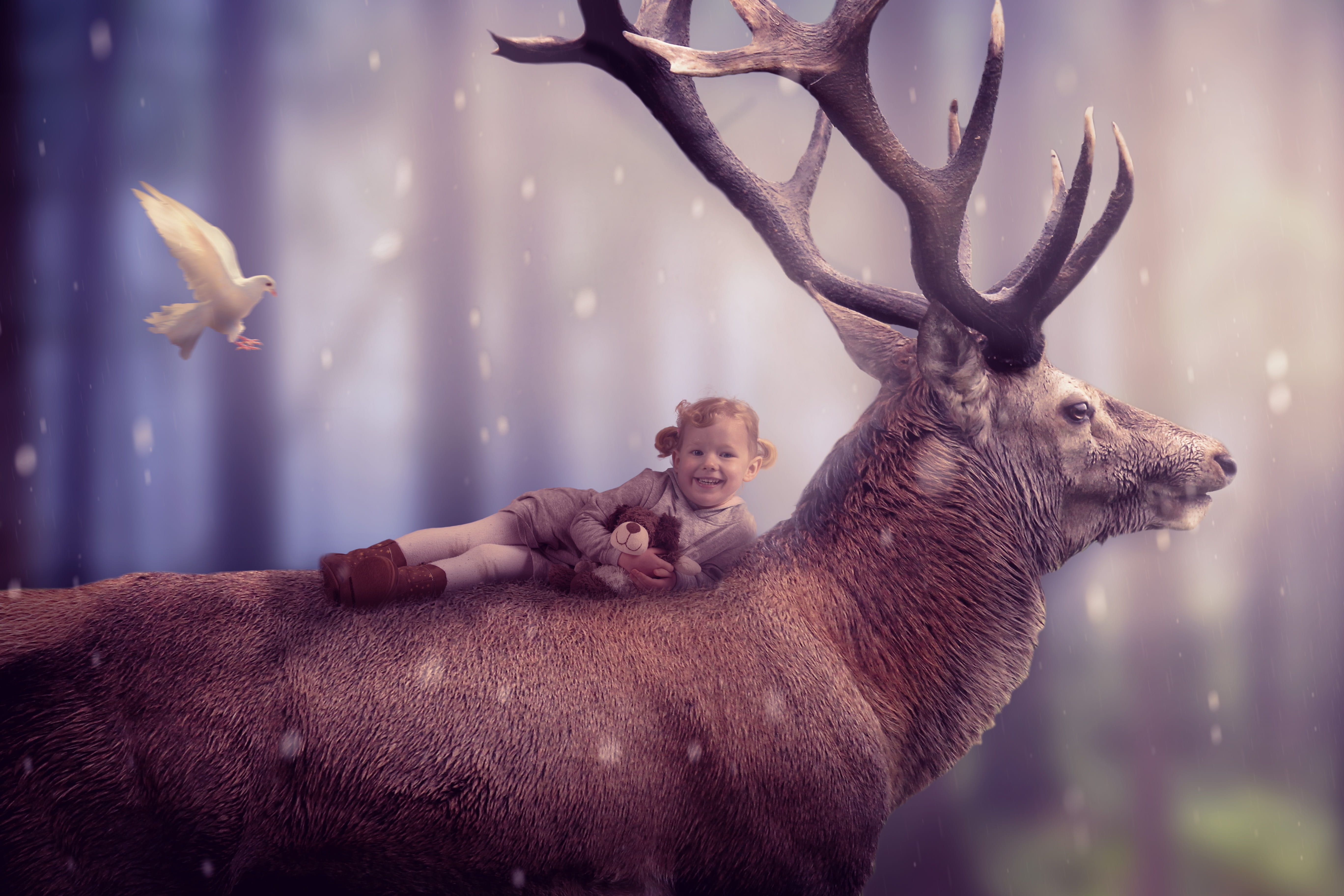 side view, animals in captivity, concerns, child, cardigan, rest, dove, fur, composition, profile view, winter, animal wildlife, snow, recovery, girl, roe deer, HD Wallpaper