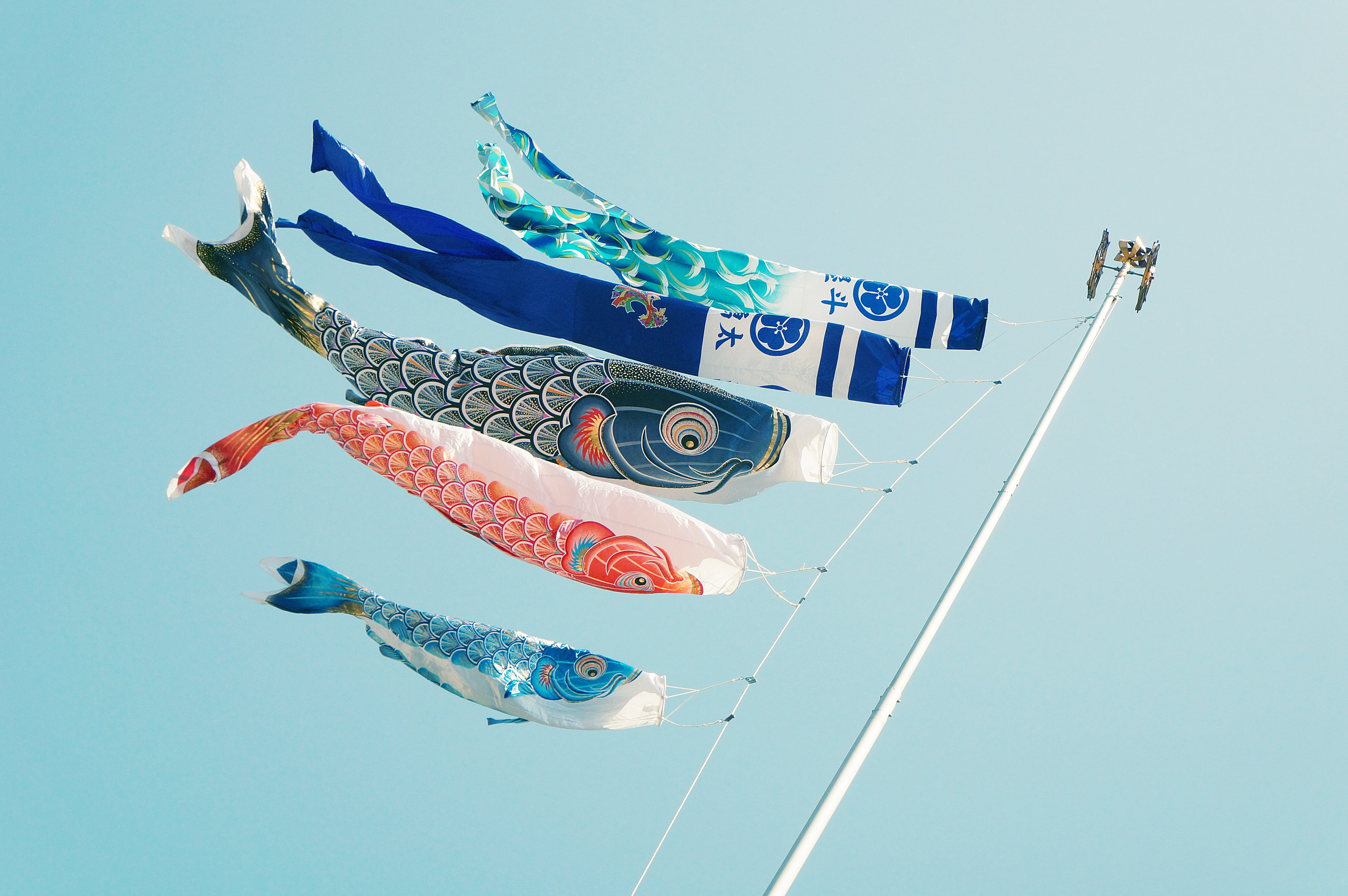 wind, outdoors, nautical vessel, close-up, 4K, sky, event, white, banners, low angle view, clear sky, water, variation, paper currency, flying, streamer, HD Wallpaper