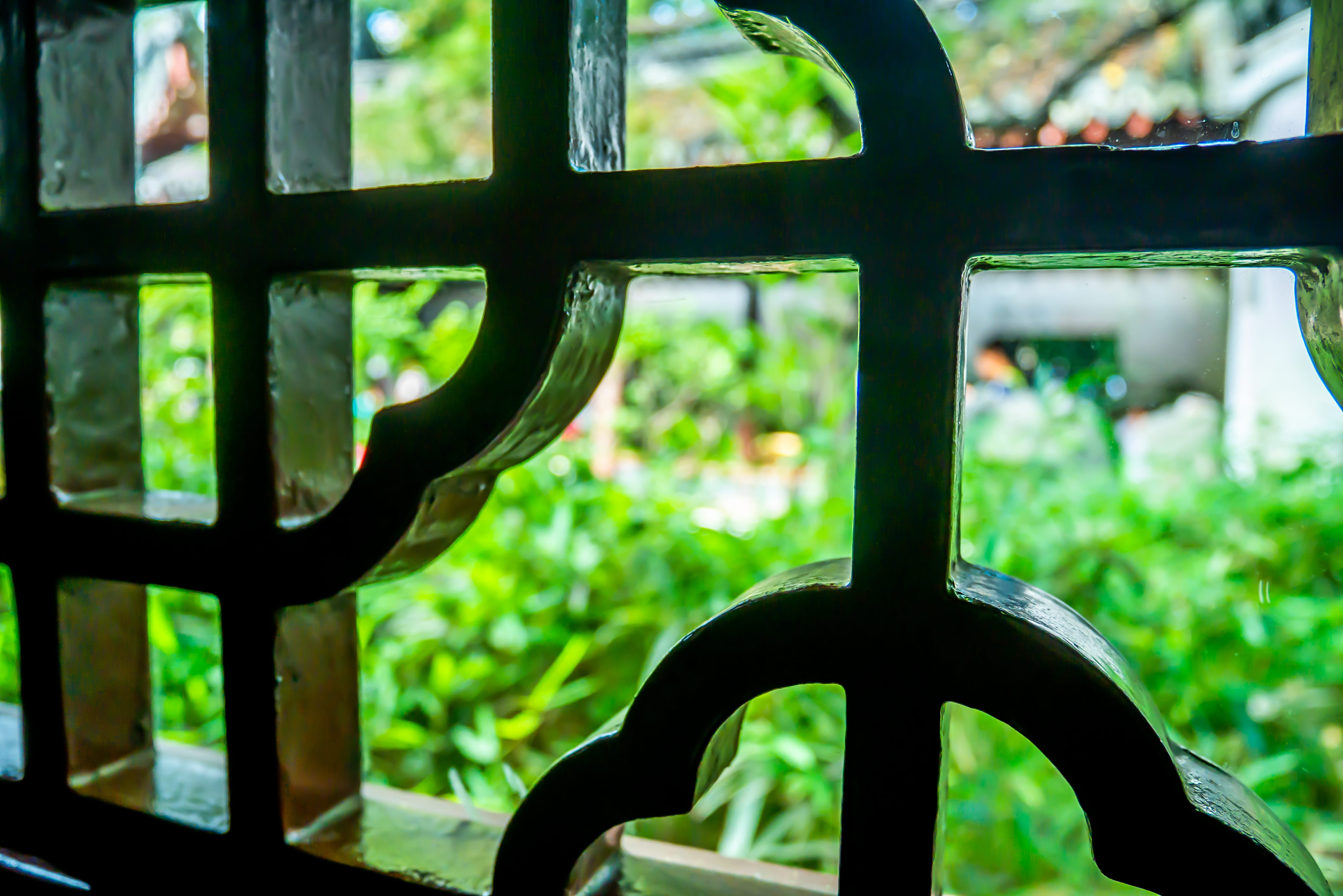 plant, china, 4K, prison, growth, symbol, metal, close-up, garden, cross, art, railing, no people, stained glass, grid, glass - material, transparent, HD Wallpaper