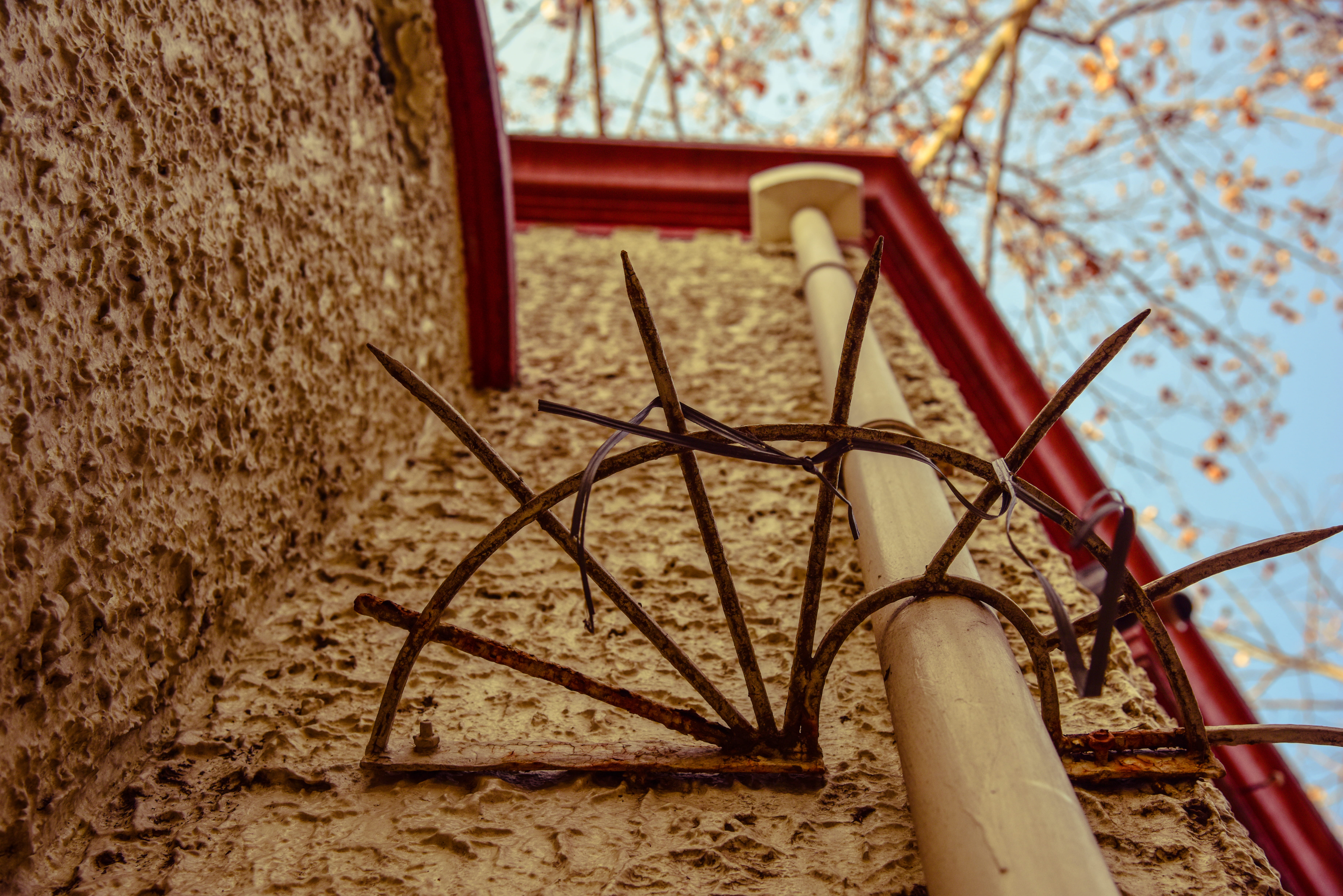 land, metal, day, built structure, plant, architecture, fence, outdoors, red, nature, security, field, water pipe, trees, barrier, shanghai, wood - material, HD Wallpaper