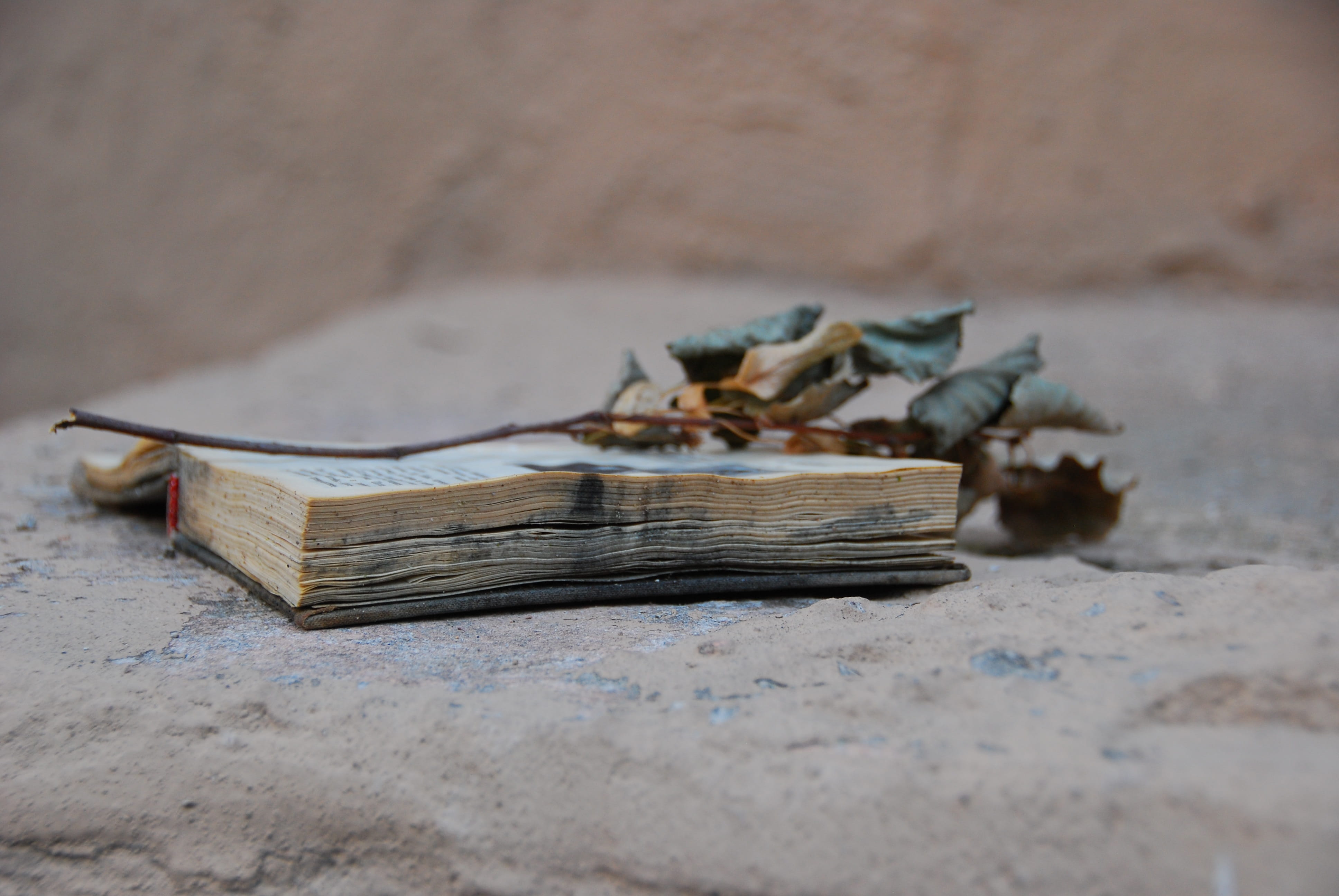still life, indoors, close-up, Twig, log, tree, nature, publication, stack, table, wood, extra things, old, Dry, 4K, Old Book, wood - Material, day, Extra, HD Wallpaper