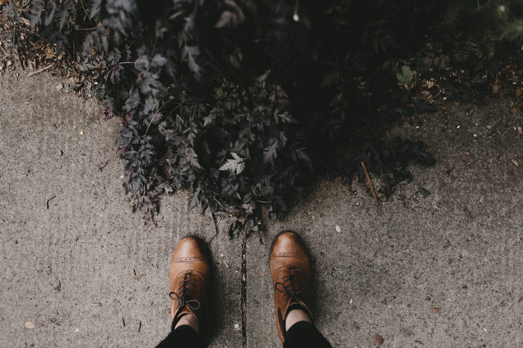 cement, from above, 720P, plant, shoes, hipster, nature, oxford, leafe, business, human Leg, vinatge shoes, walking, wearing, person, backgrounds, lifestyles, HD Wallpaper