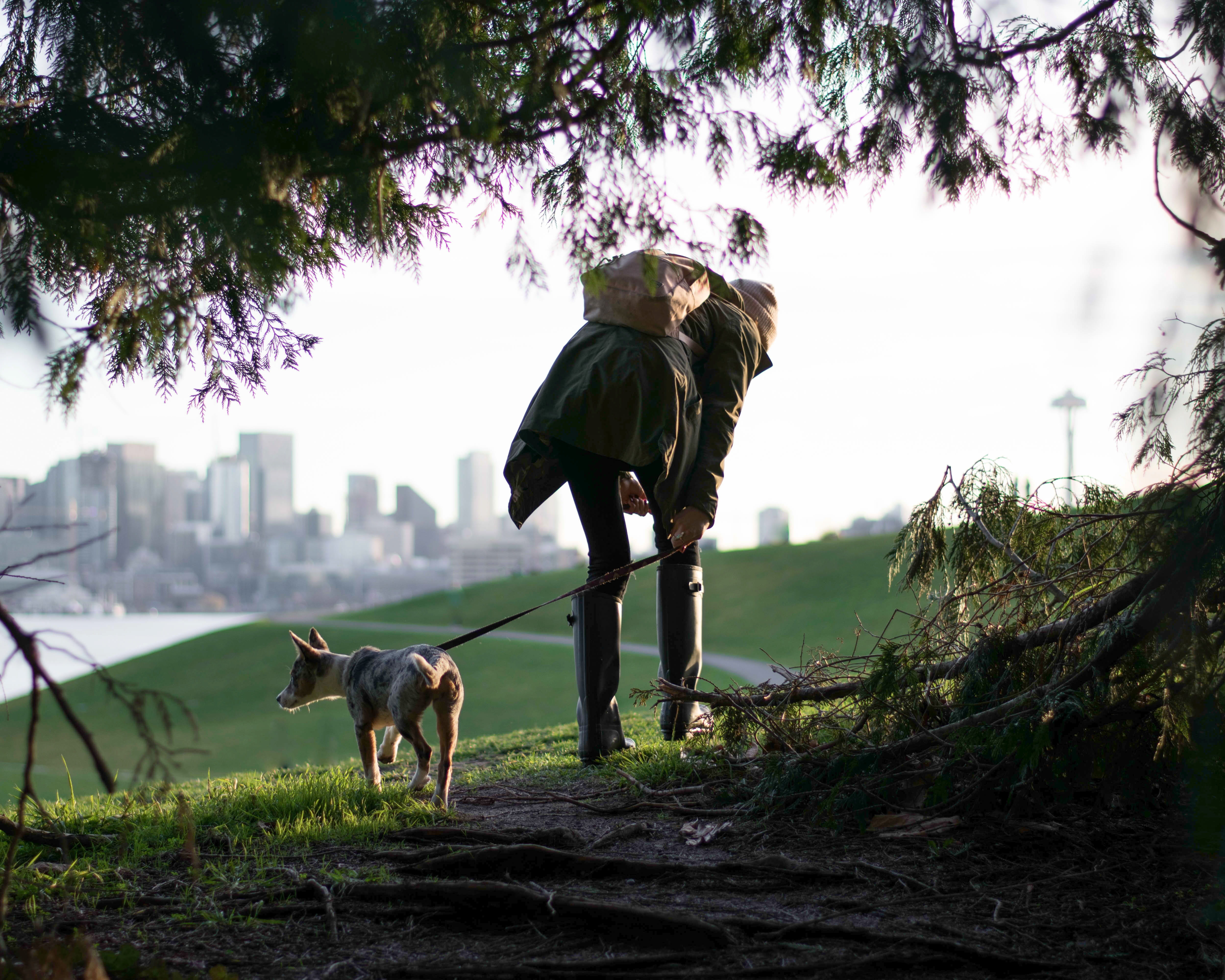 woman, outside, tree, pet, northwest, park, mammal, grass, skyline, from behind, land, horizon, nature, one person, canine, field, adventure, vertebrate, HD Wallpaper