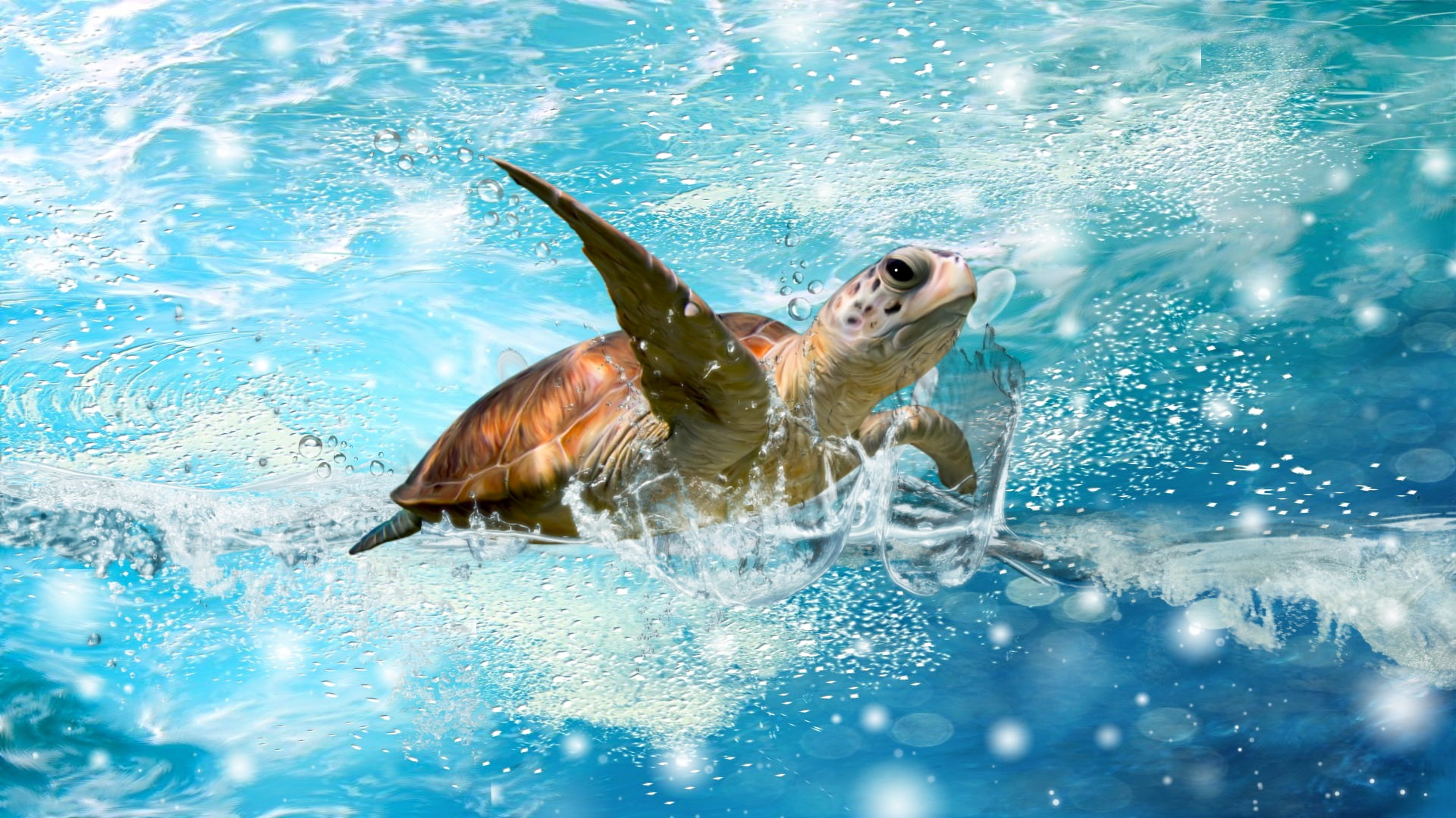 sea turtle, blue, turtle, sea, waves, animals, 1080P, HD Wallpaper