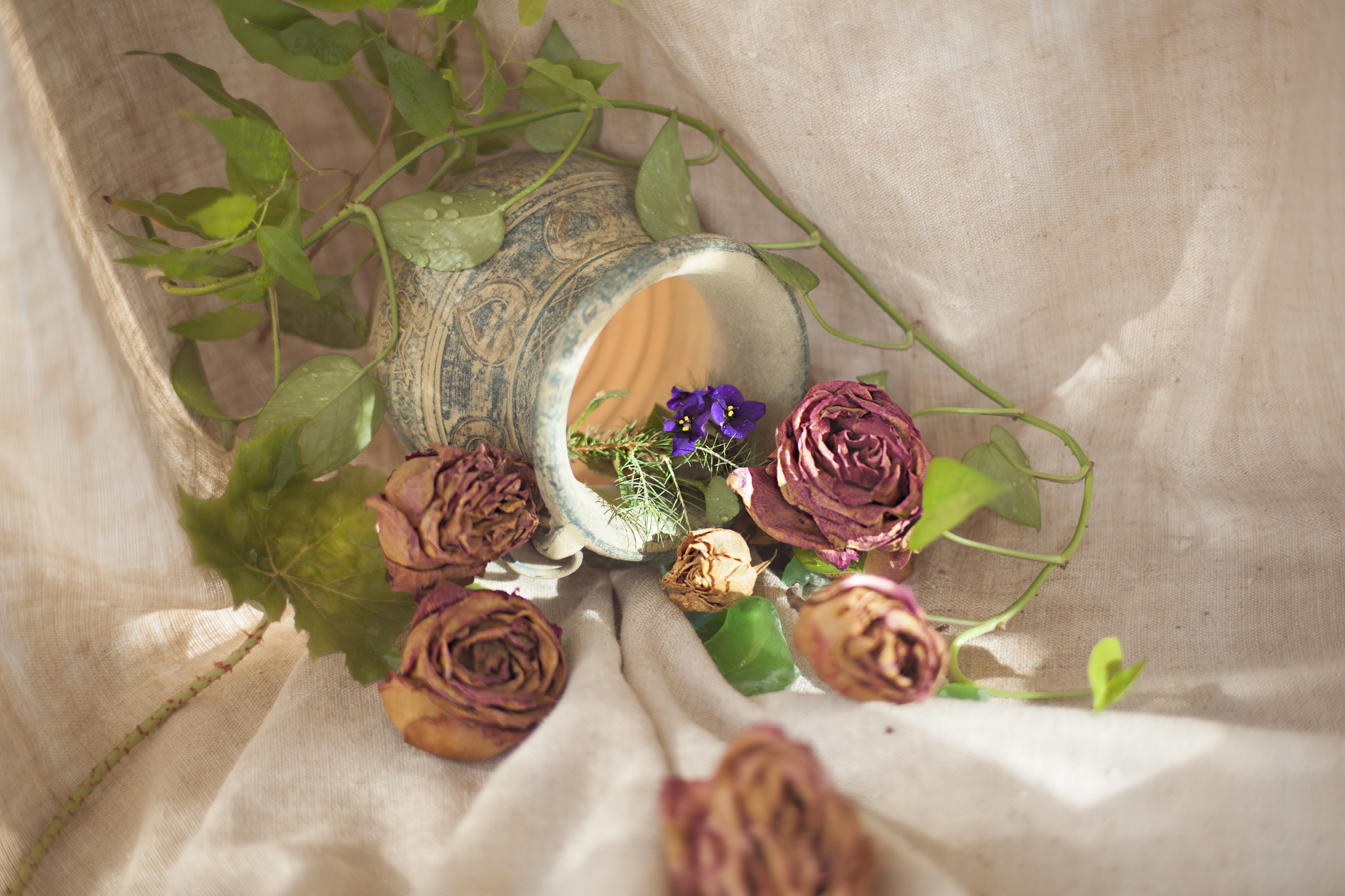 indoors, flowers, close-up, luxury, boutonniere, container, ornament, background, still life, table, no people, nature, 5K, textile, glass - material, HD Wallpaper