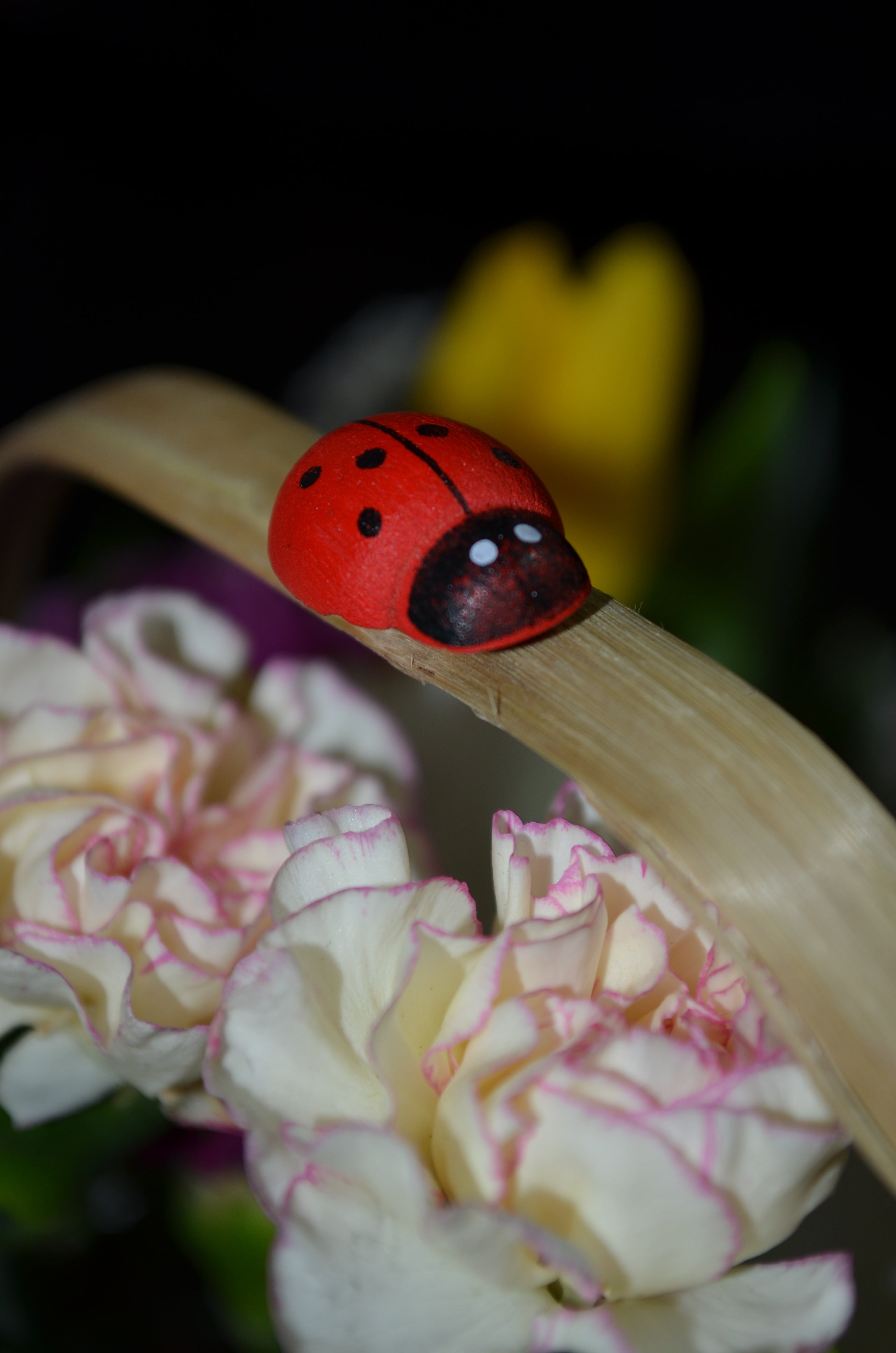 one animal, beauty in nature, nature, beetle, no people, basket, invertebrate, focus on foreground, flower head, 4K, plant, animal, flower, animal themes, Phone HD Wallpaper