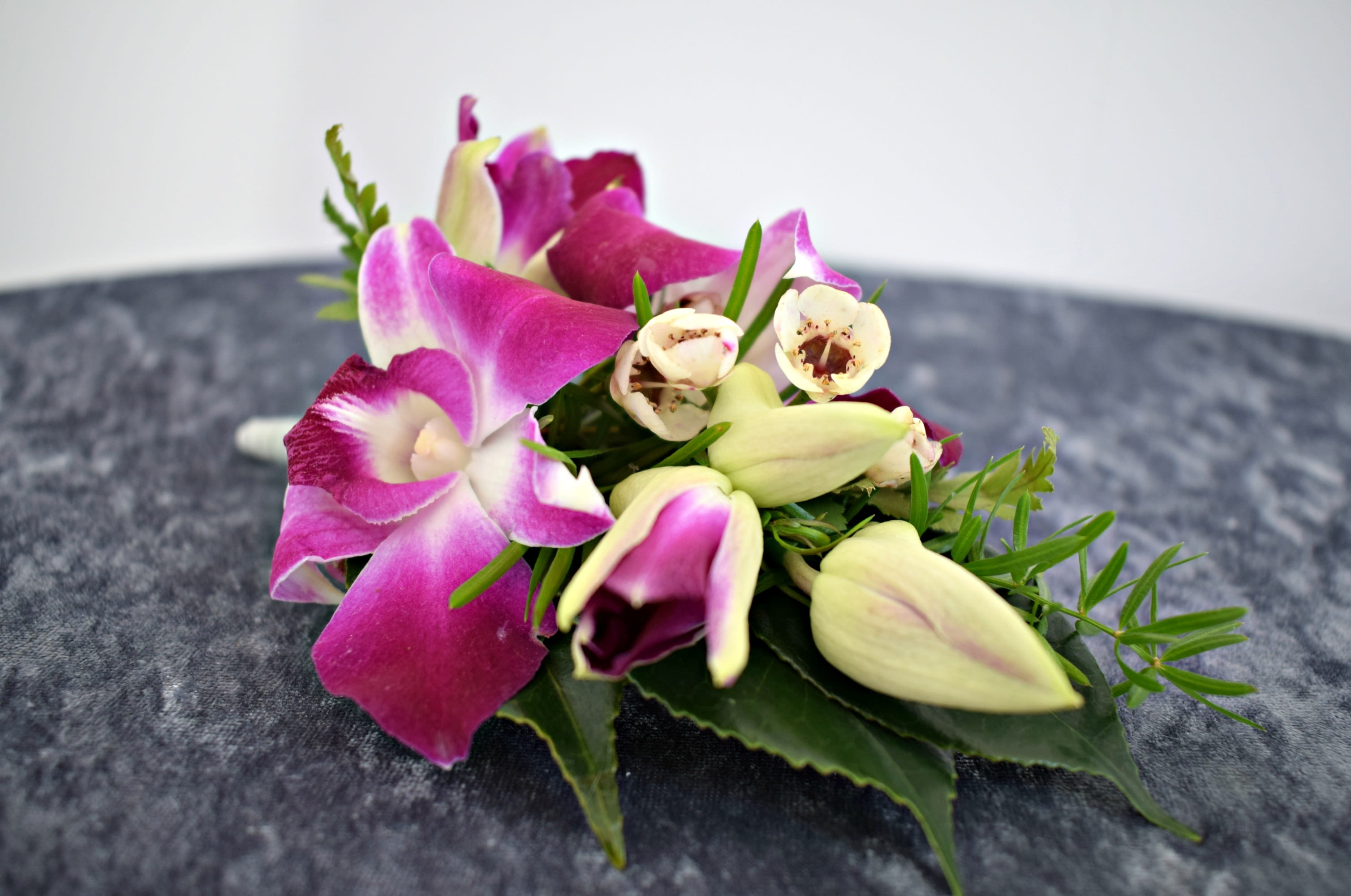 orchid, petal, nature, elegant, vulnerability, mother of the bride, flower arrangement, freshness, studio shot, flower, close-up, wedding, selective focus, HD Wallpaper