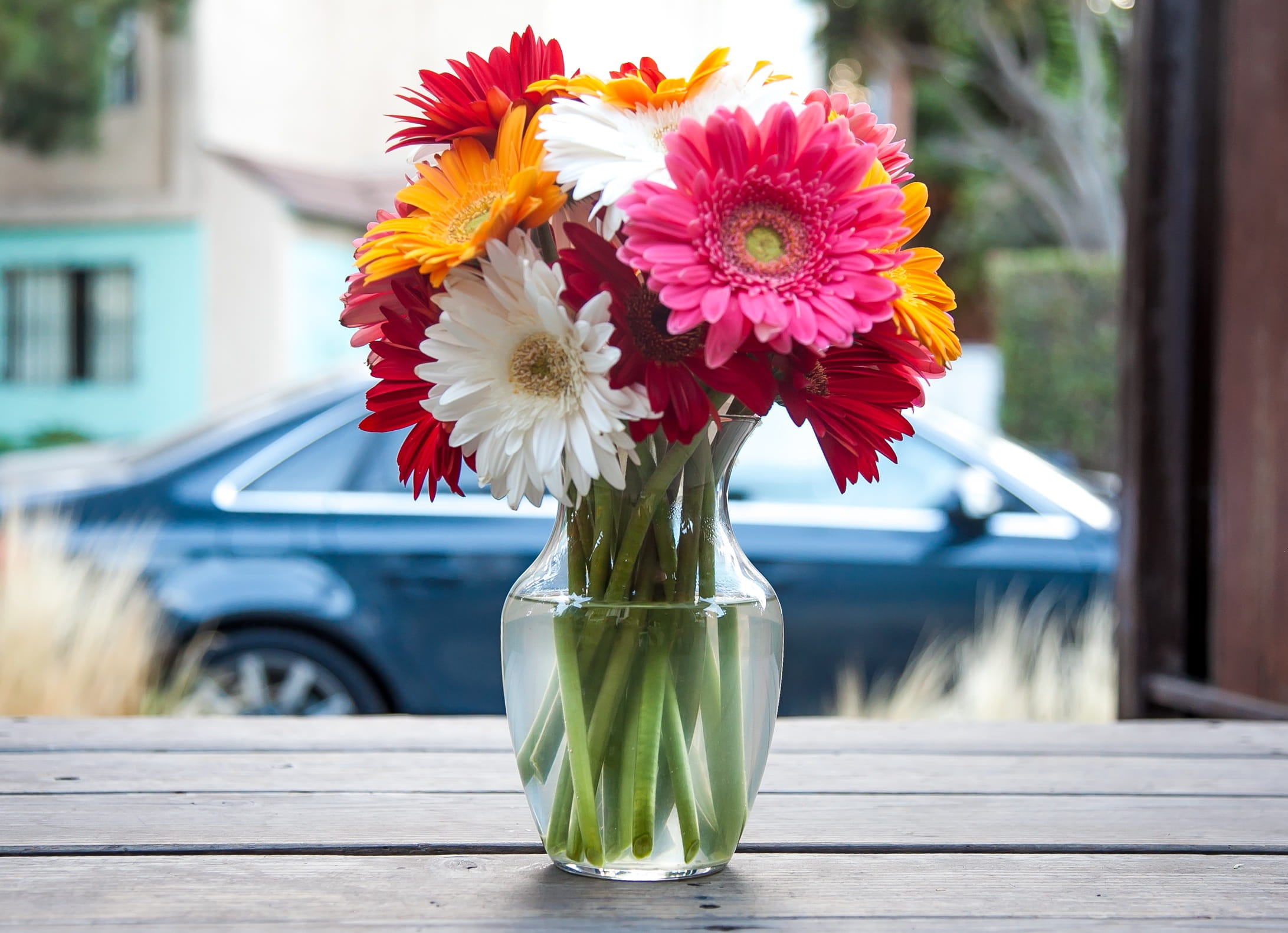 bunch of flowers, 1080P, colors, filled, clear, day, window, daisy, glass - material, focus on foreground, decoration, inflorescence, flora, fresh, beauty in nature, HD Wallpaper
