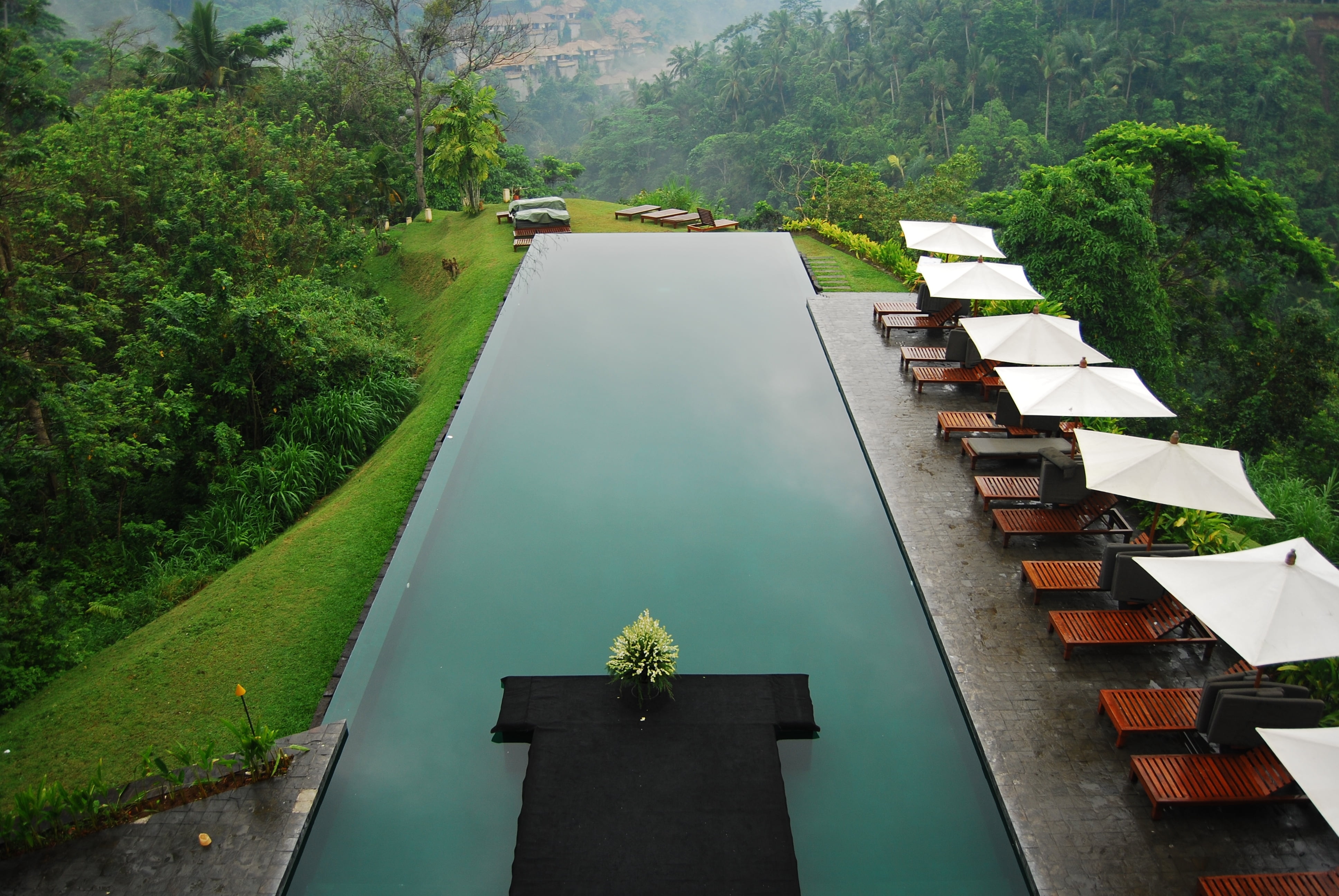 plant, day, Sean McGrath, building exterior, TRANQUILITY IN BALI, green color, pool, Indonesia, beauty in nature, Bali, water, outdoors, architecture, nature, HD Wallpaper