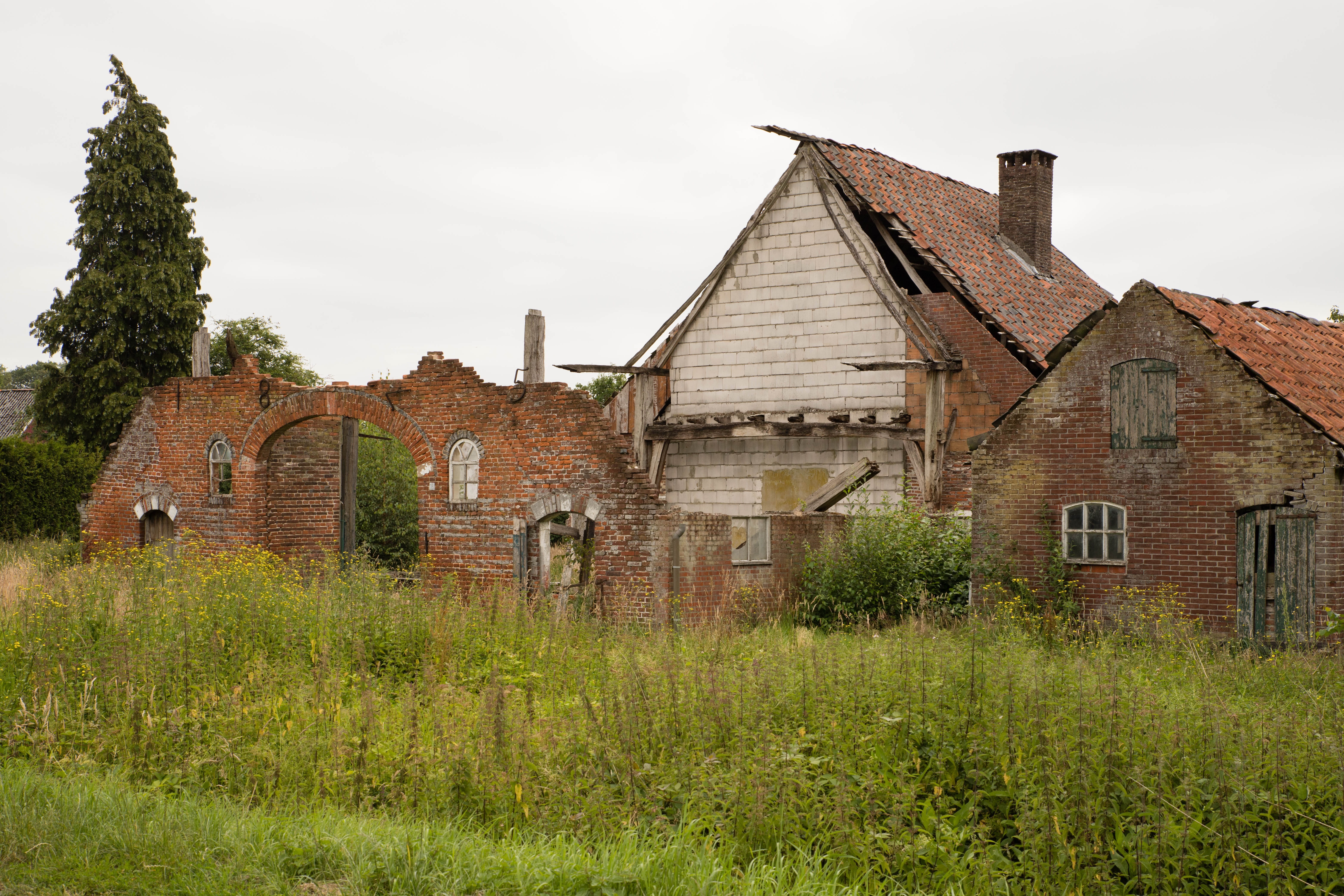 field, day, no people, building, culture, 5K, architecture, nature, built structure, history, building exterior, sky, plant, growth, green color, rural scene, HD Wallpaper