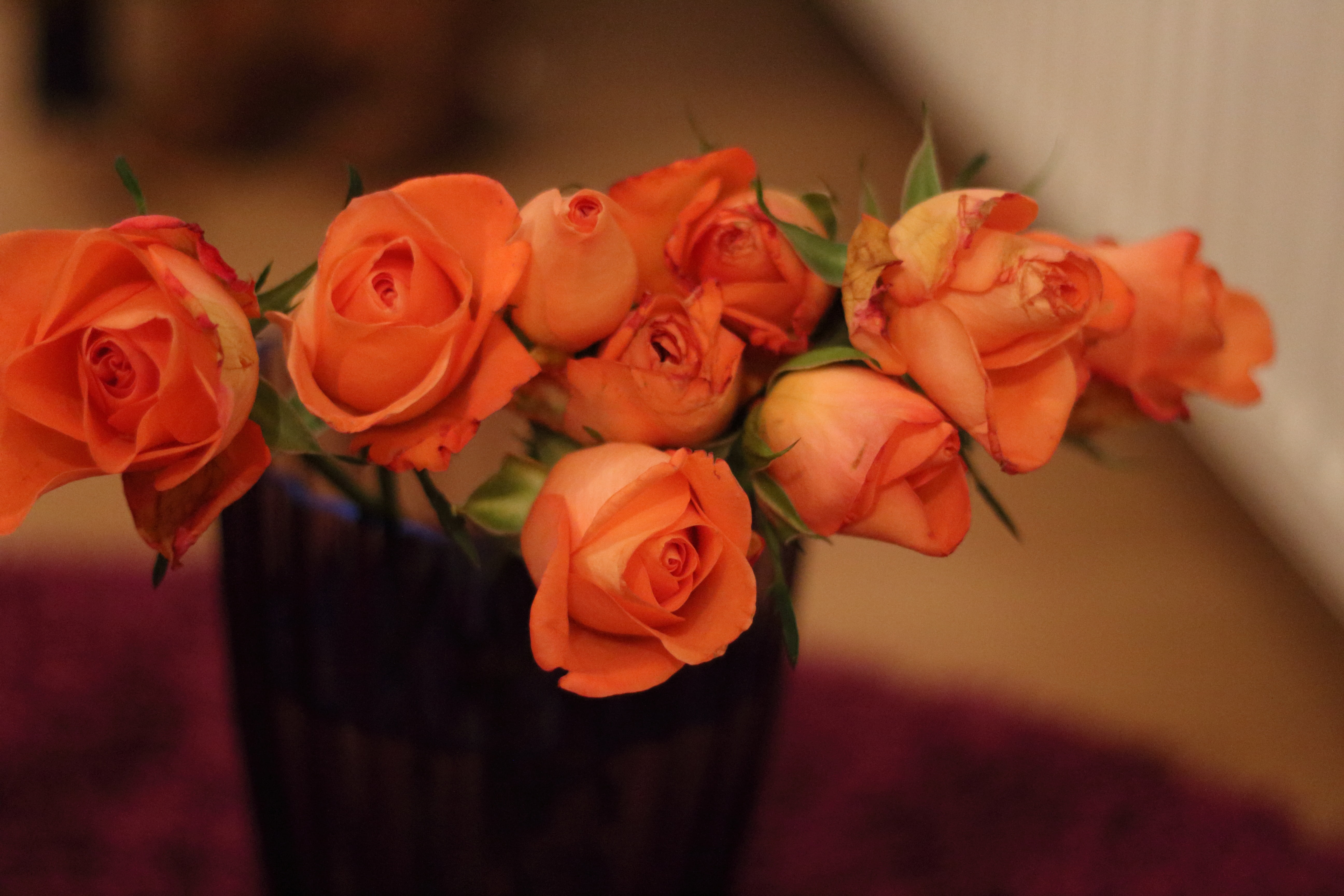 vase, nature, flower arrangement, orange, corsage, plant, rose - flower, no people, focus on foreground, inflorescence, rose, valentines day - holiday, HD Wallpaper